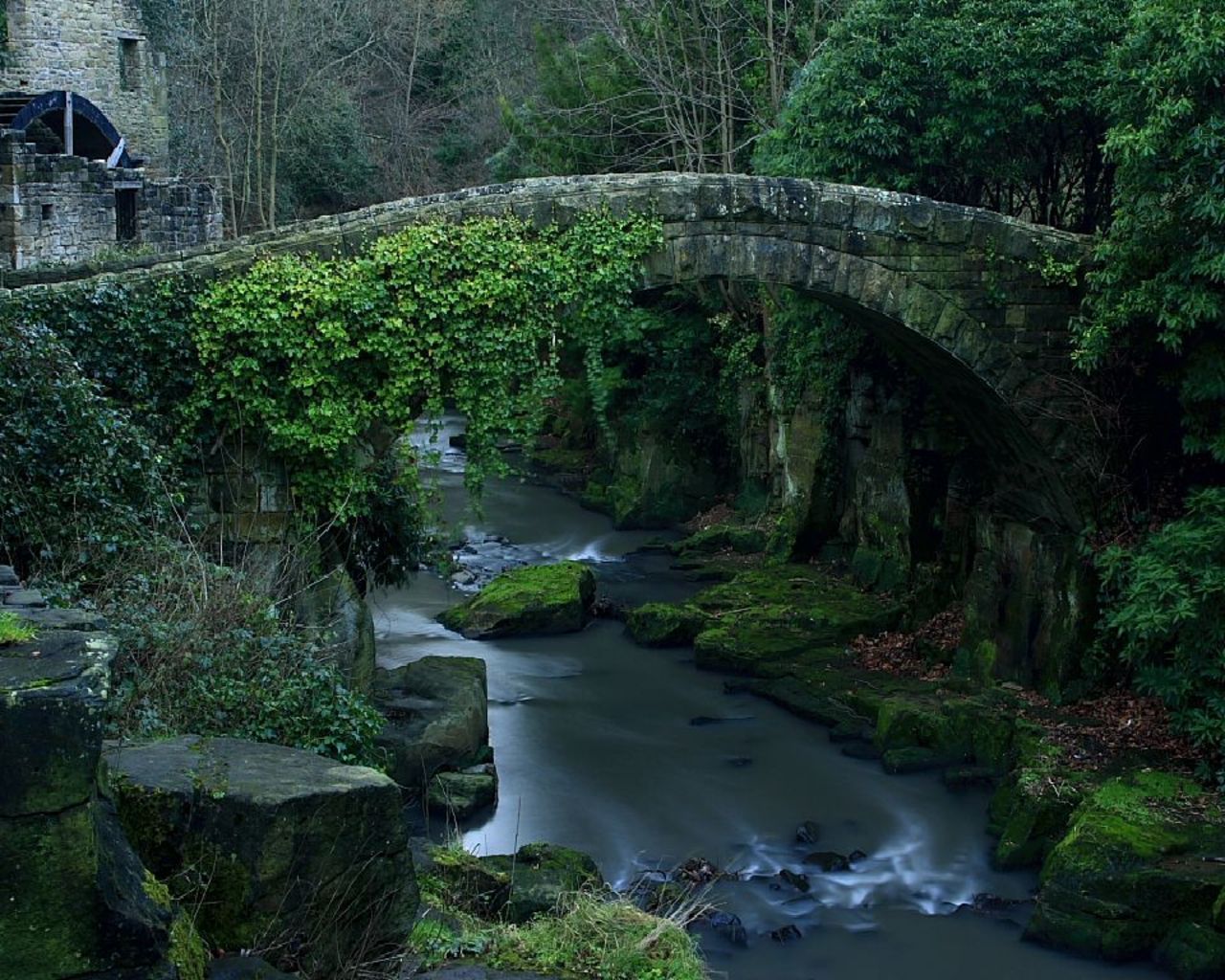 мосты, пачки, мосты