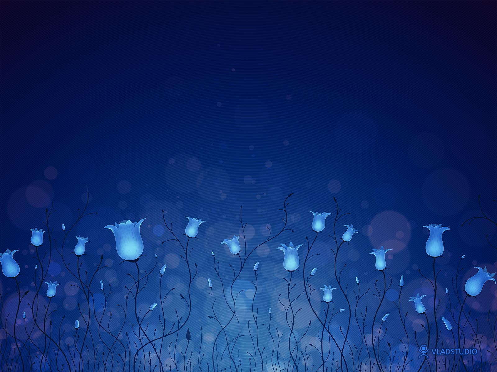 цветы синие бесплатно