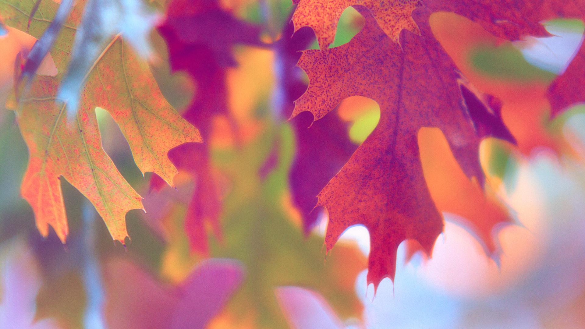 1920x1080