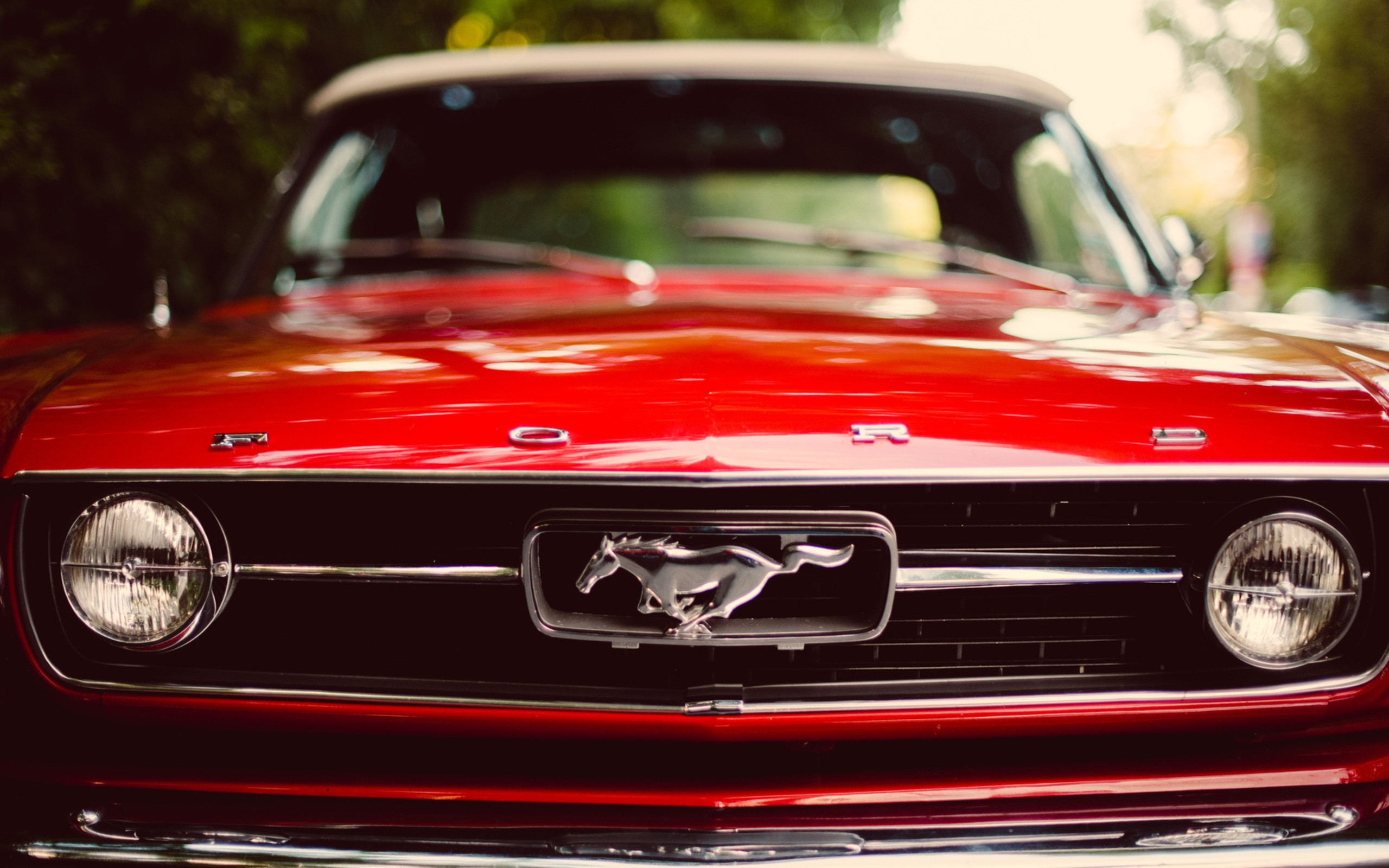 mustang, ford, красный цвет No 56134 Разрешение 2560x1600