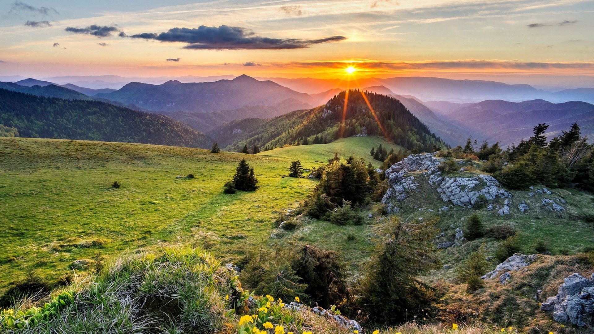 гора, цветы, озеро