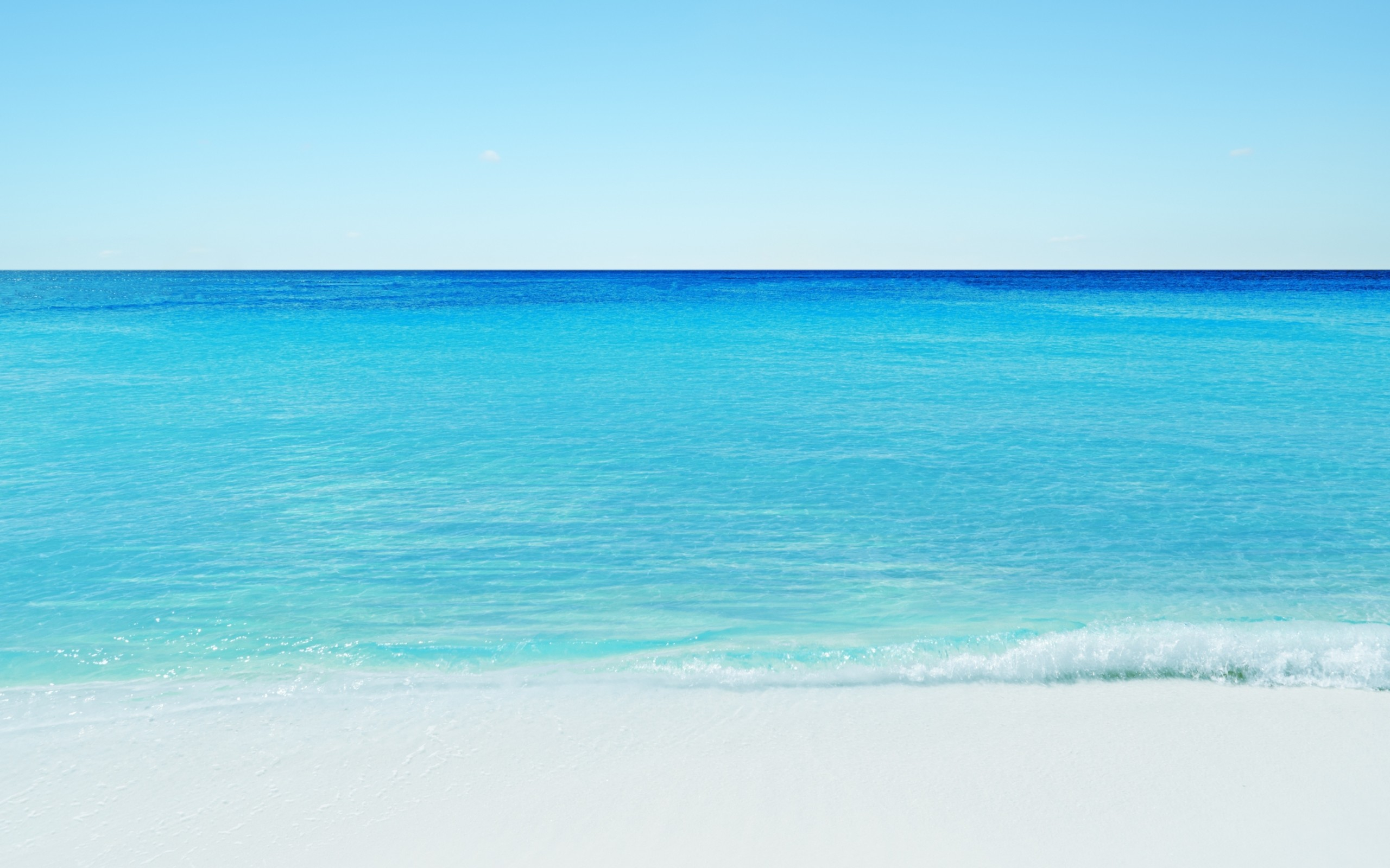 подсох, песок, море