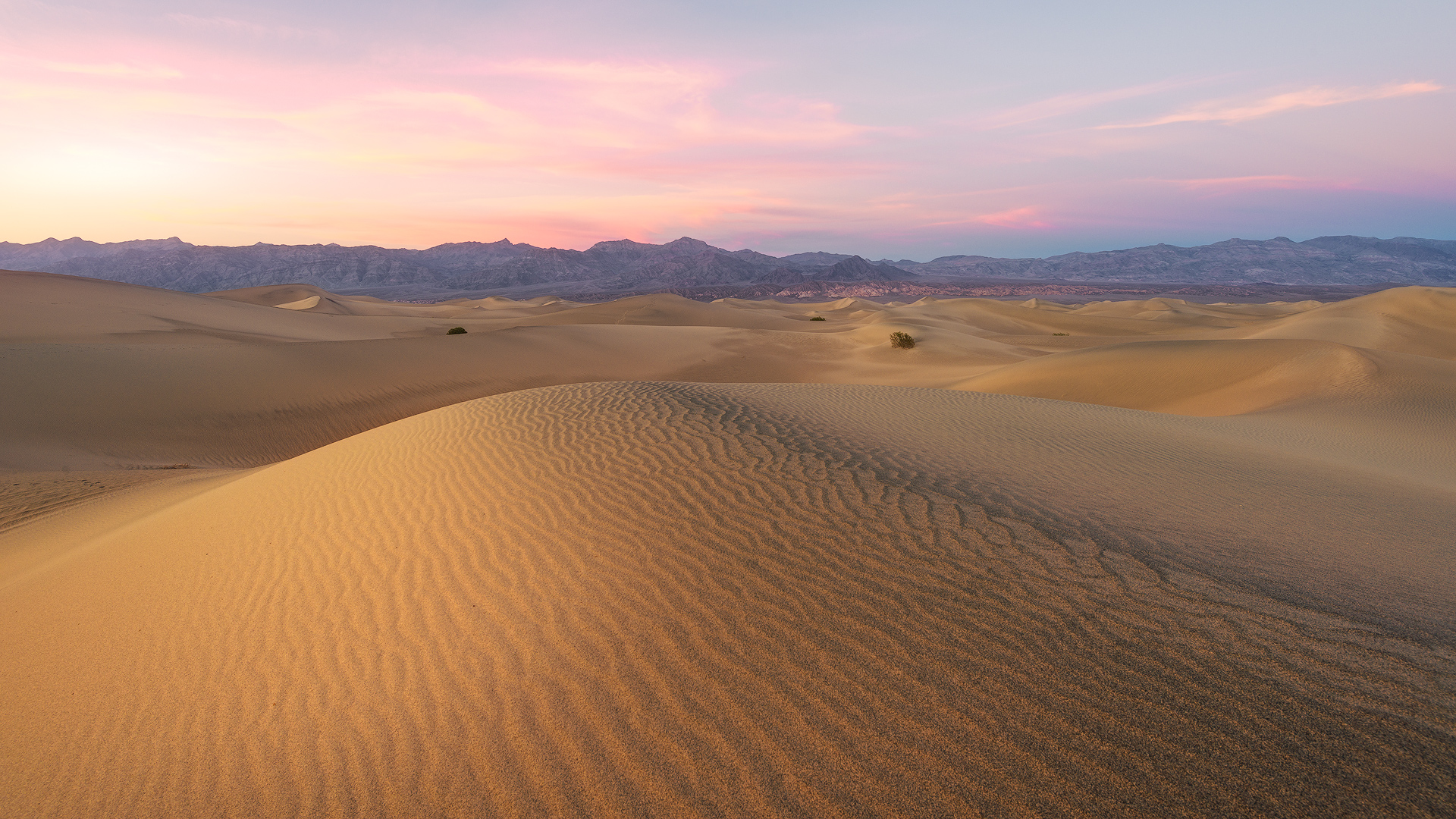 4 deserts. Бархан Сарыкум. Песчаные Барханы Баргузинская Долина. Пейзаж пустыни Кызылкум. Мюсейд пустыня.