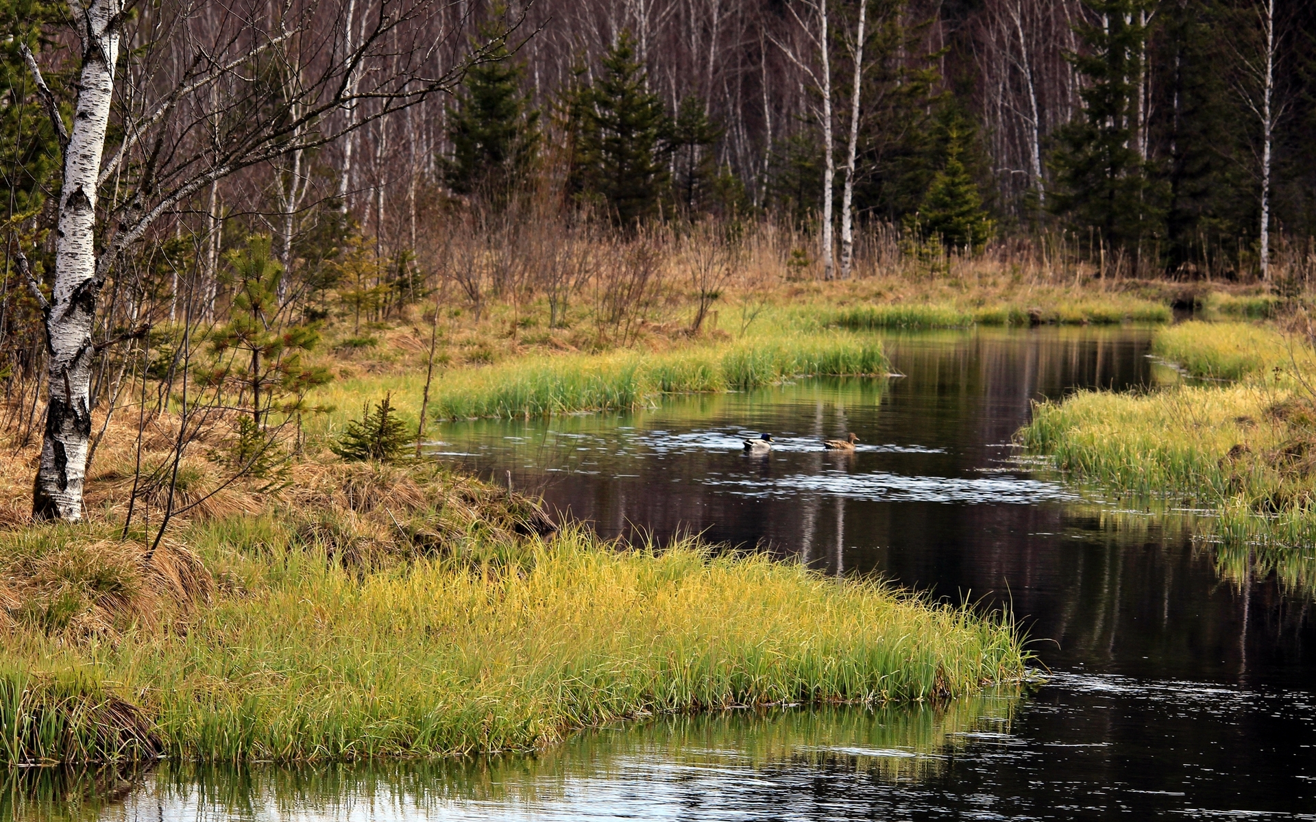 стиль, Разрешение 1920x1200