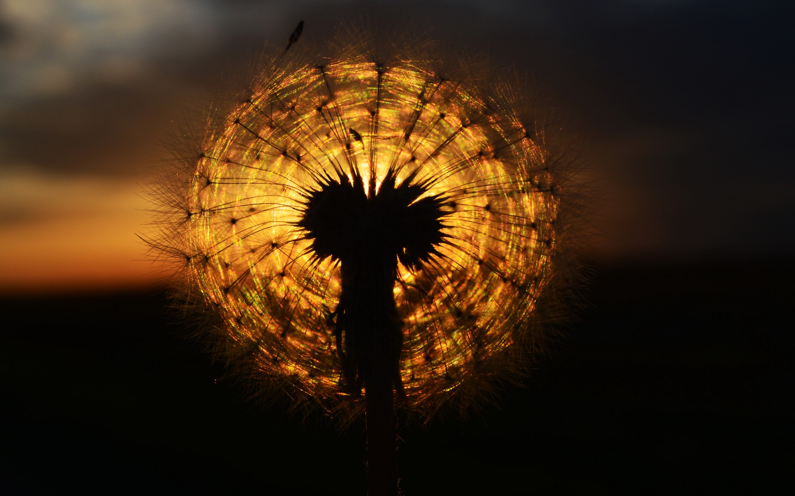 sun, sunset