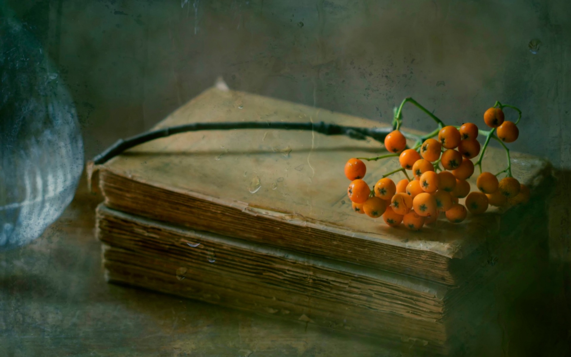 книга, рябина, дожди