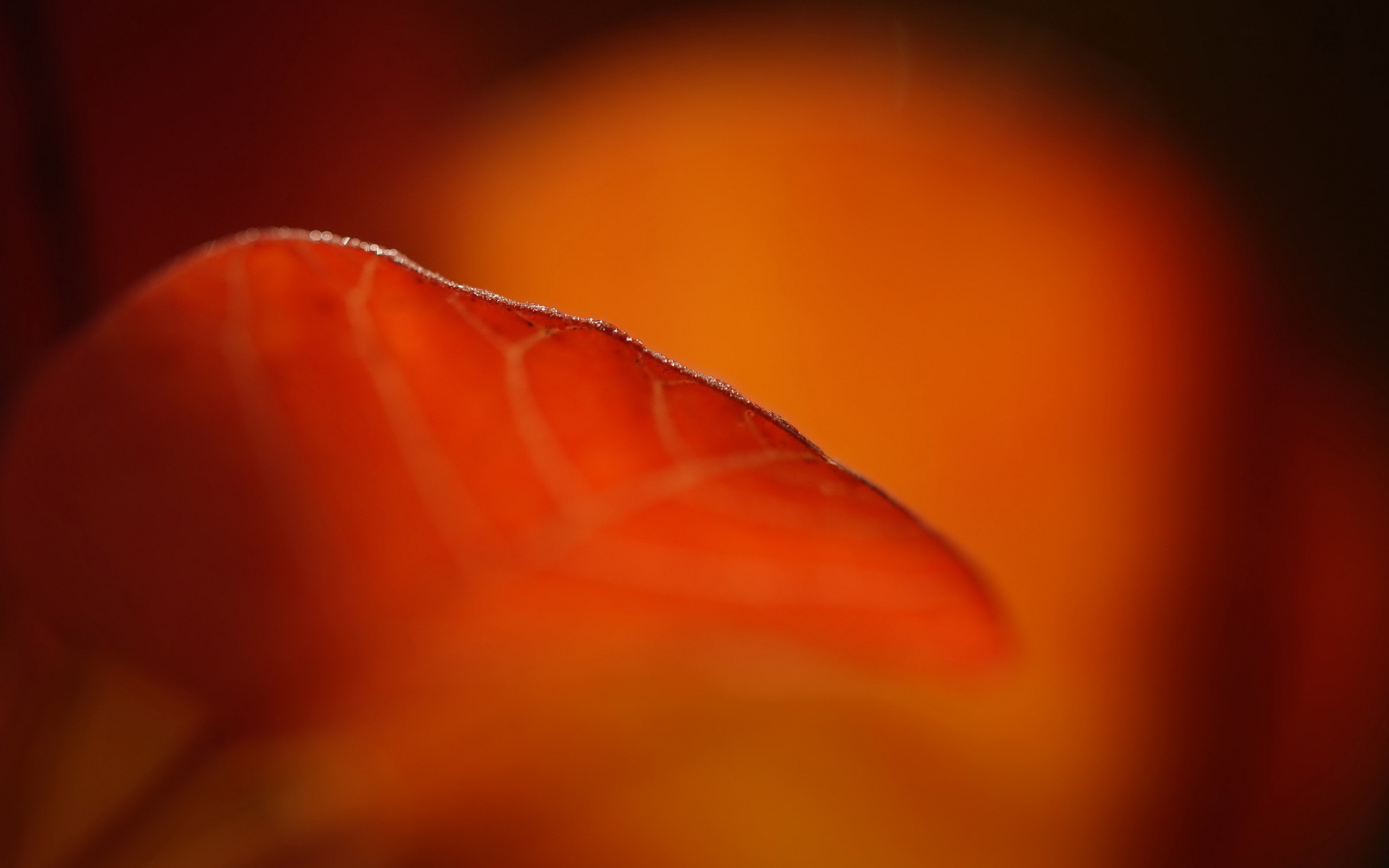 gradient, color, aire