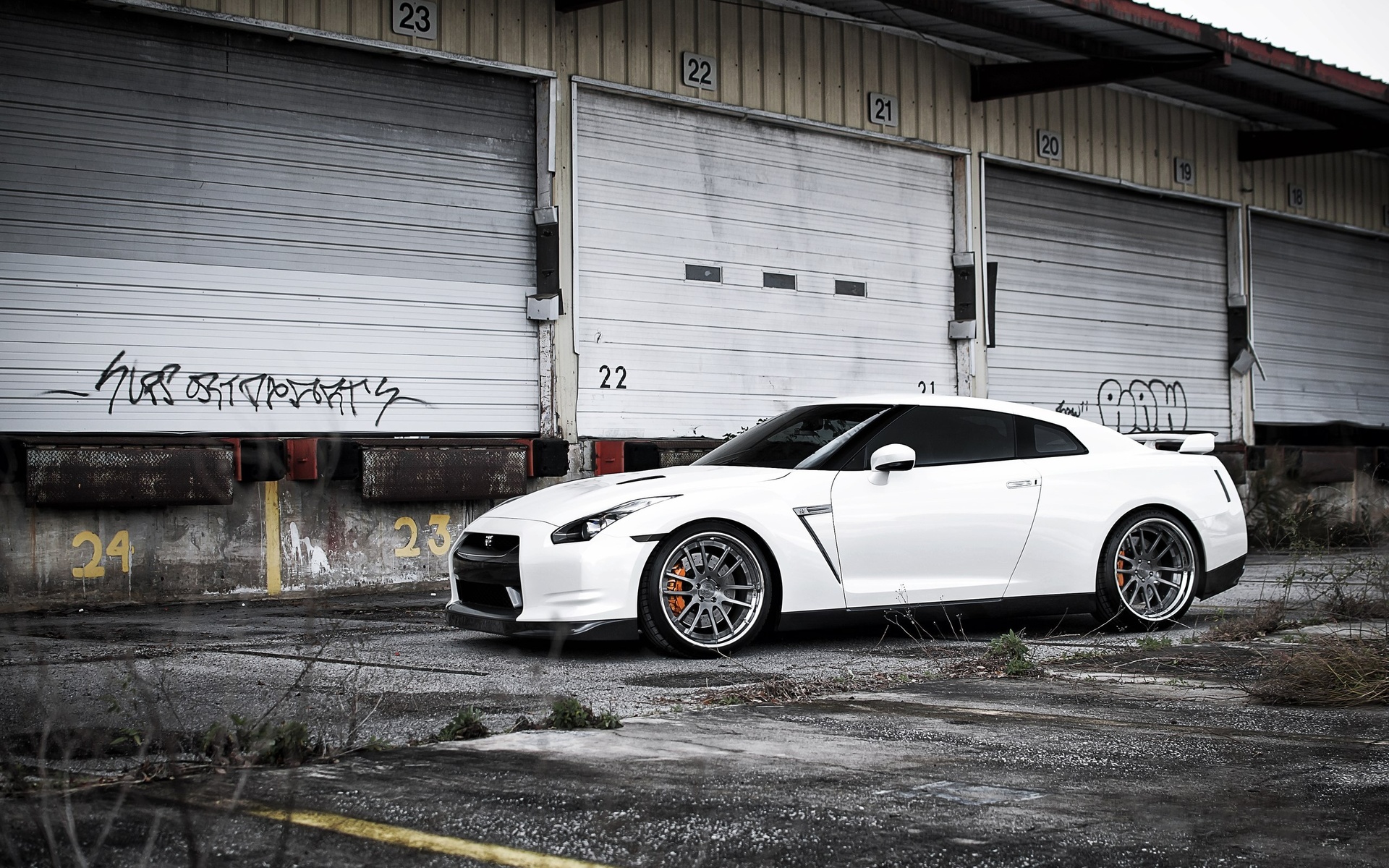 nissan, white