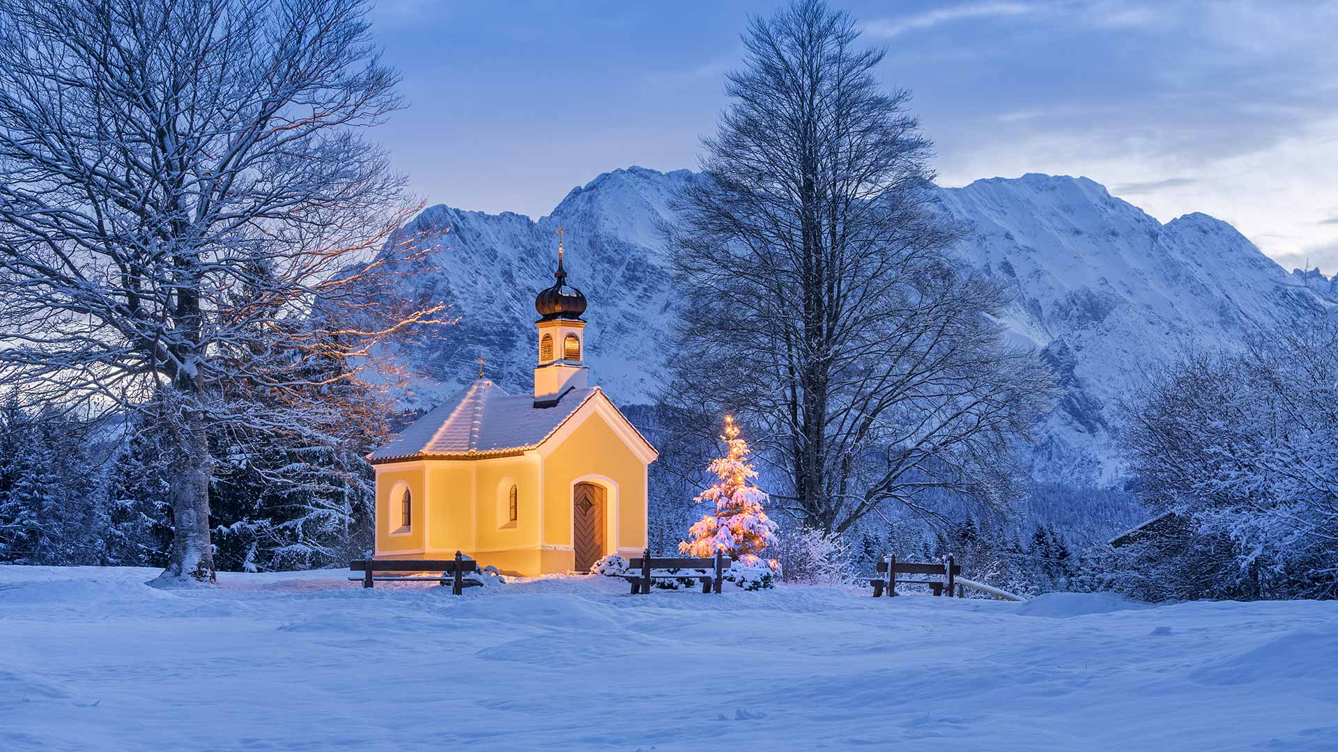 красотка, россия, капель