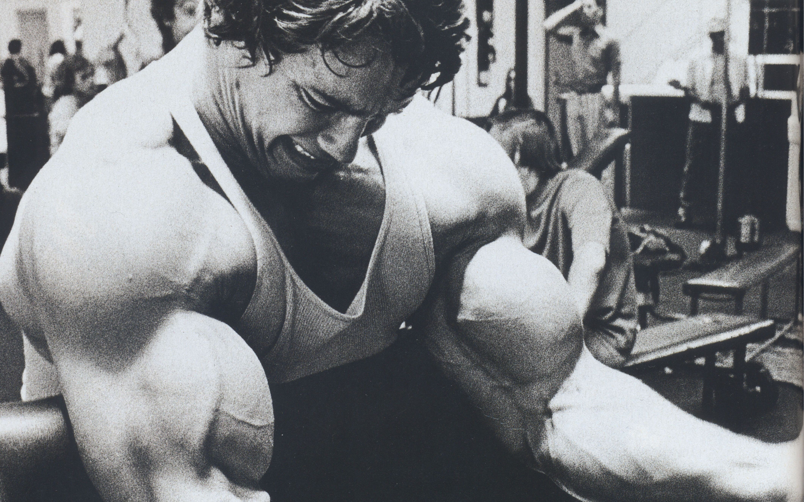 arnold, шварварцевая