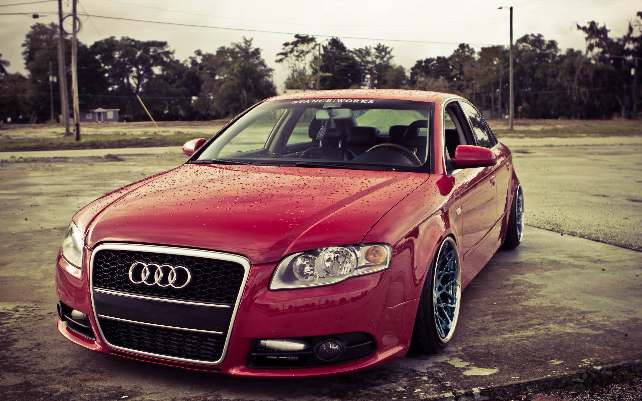 ауди, тюлин, машина