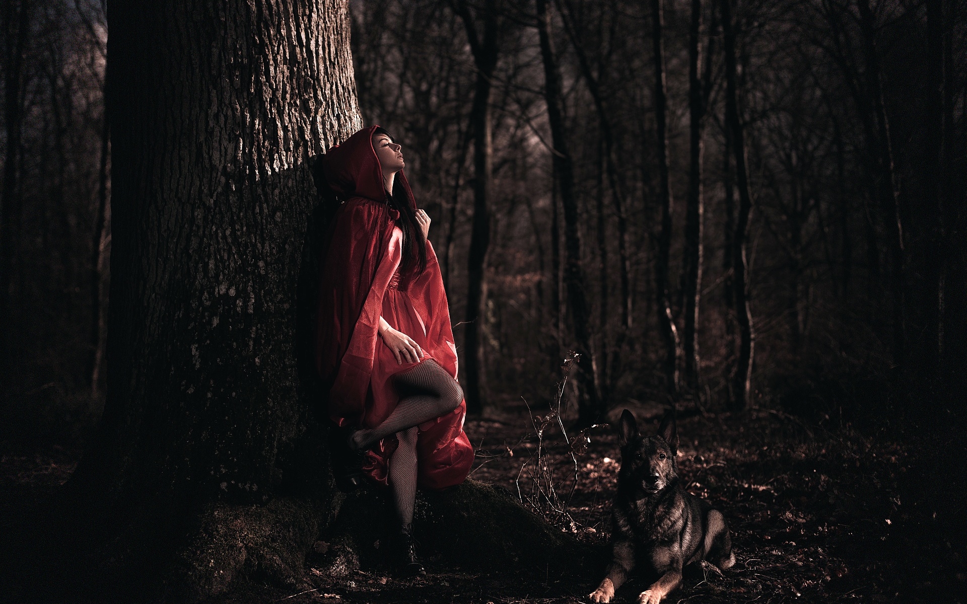 живые, лавровые