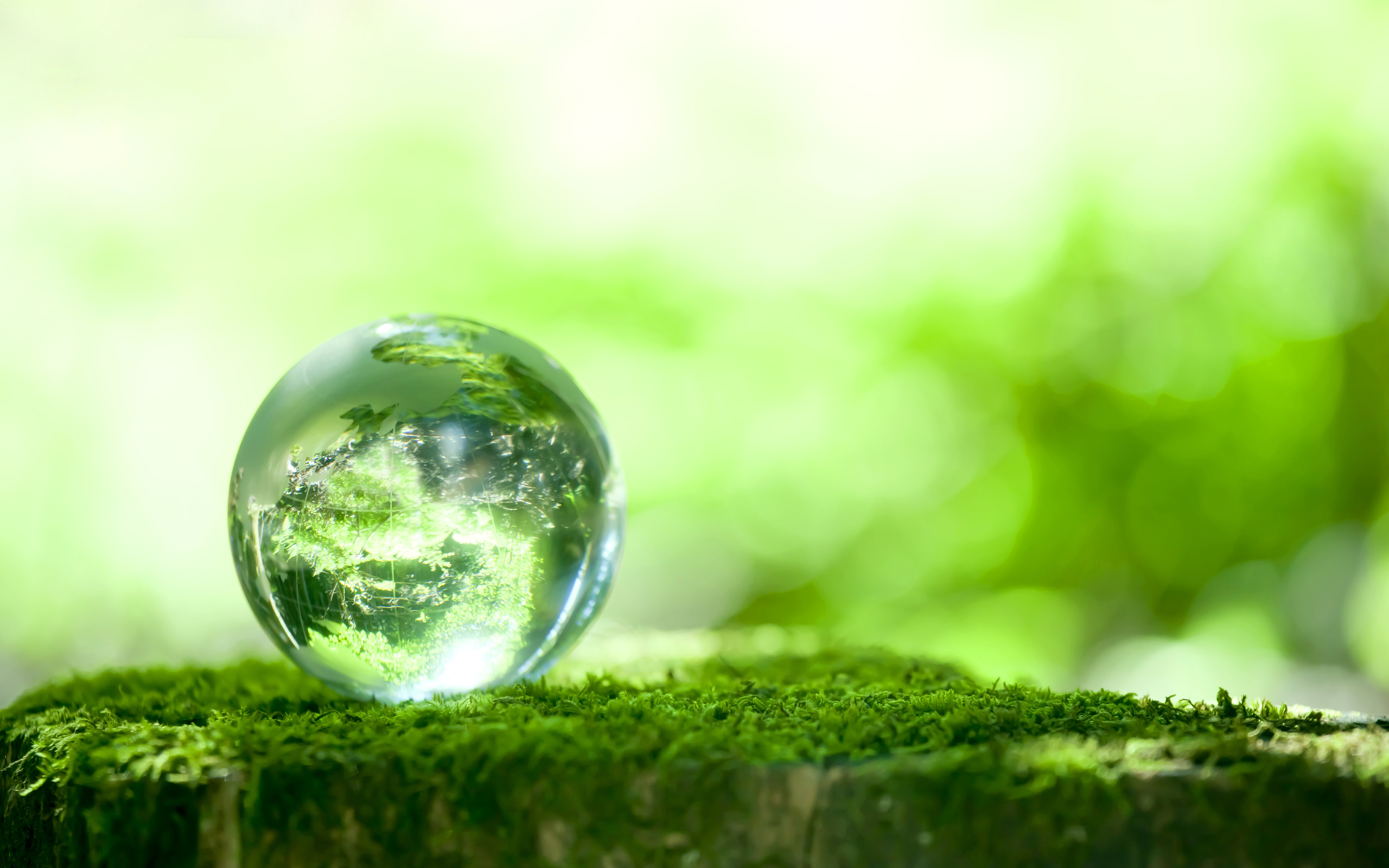 mengenal, ambiental, записи