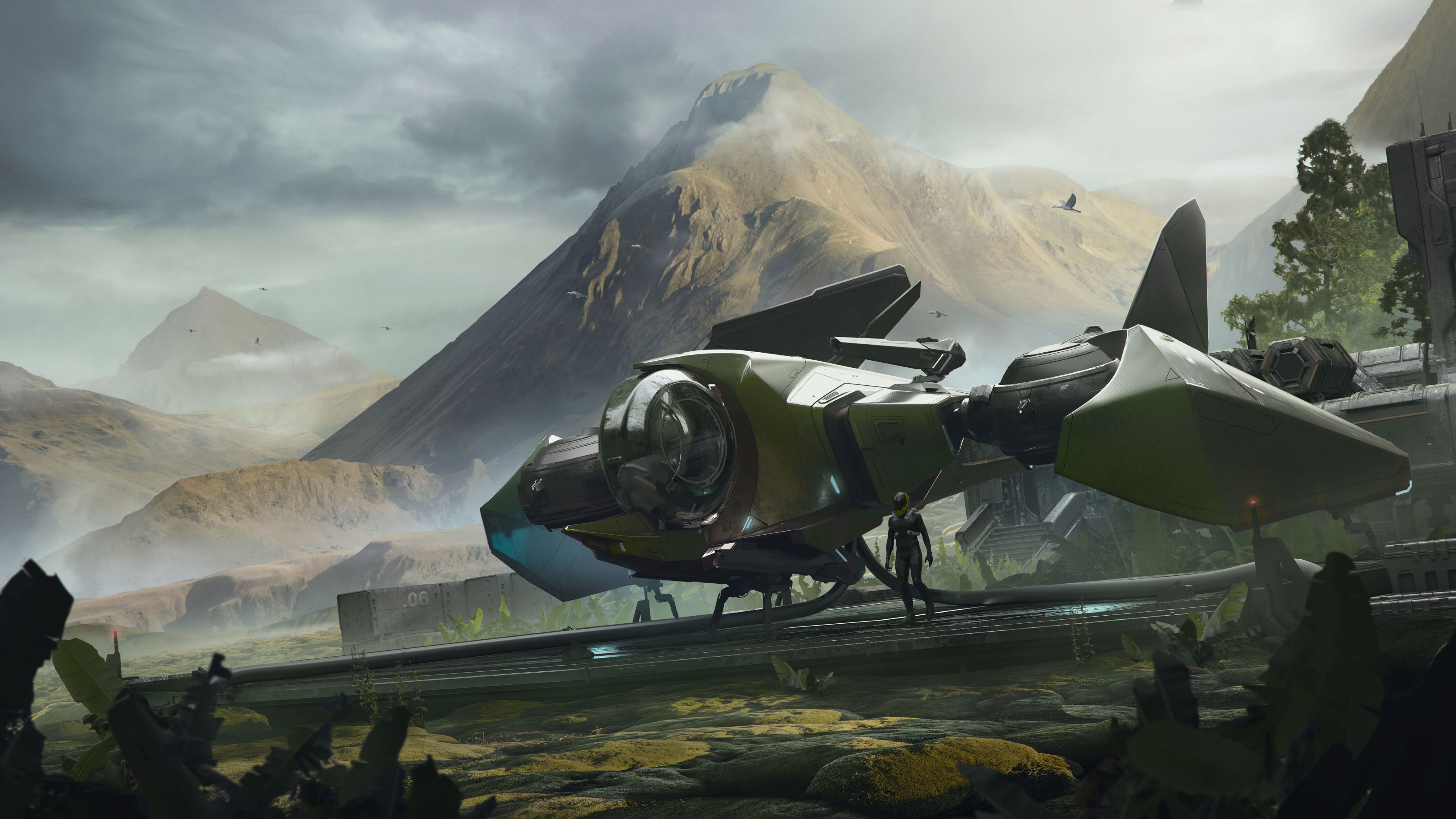 гражданин, краска, звезда