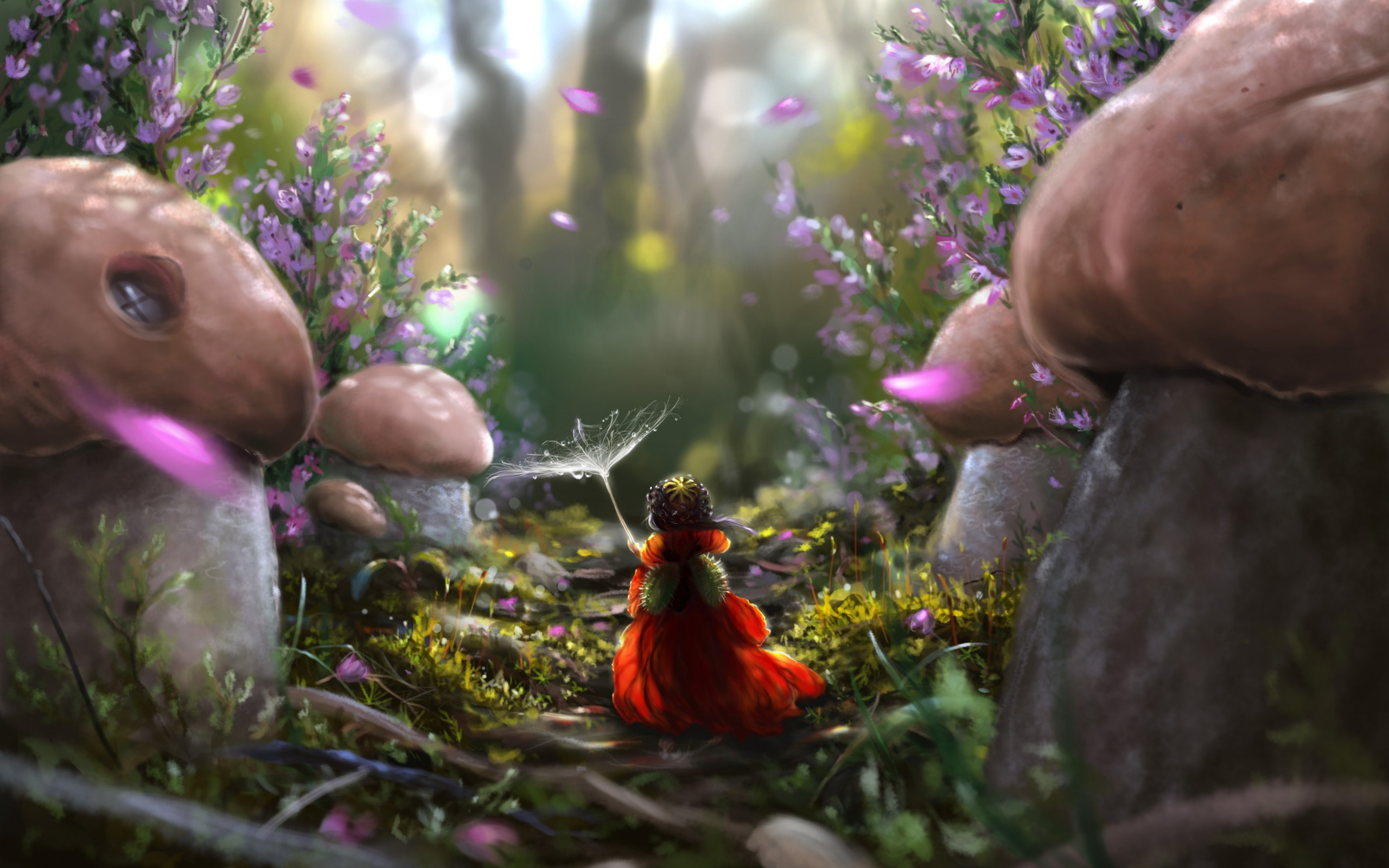 47937 Разрешение 2560x1600