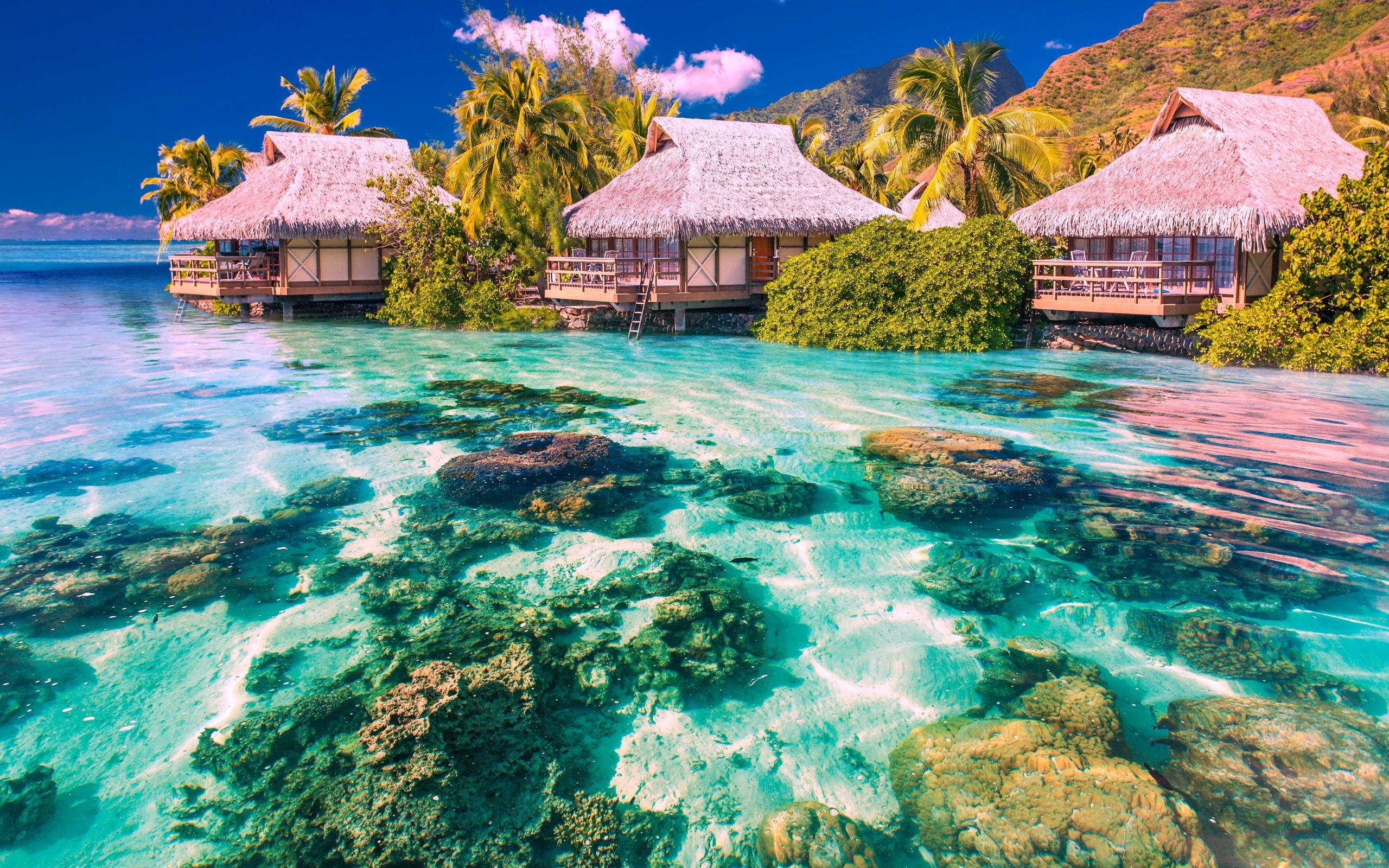 море, 164014 Разрешение 2560x1600