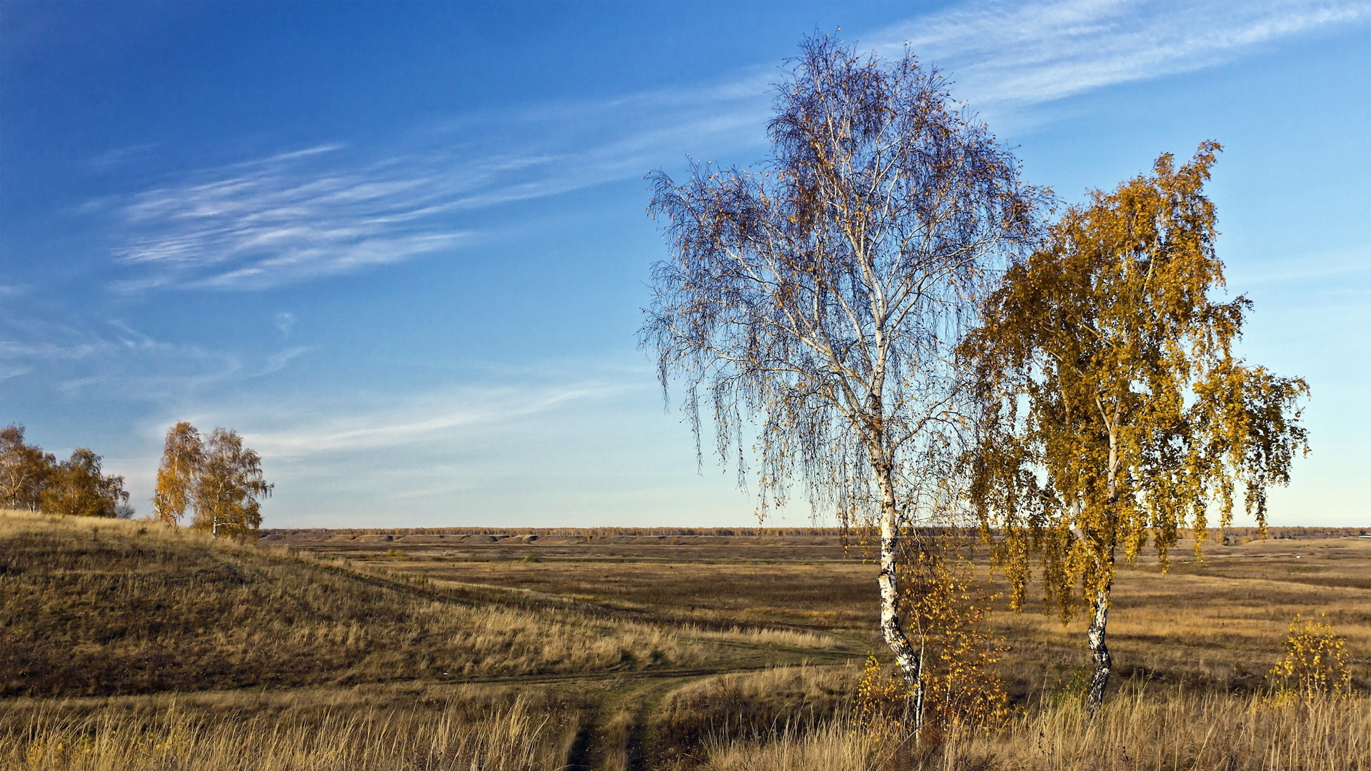 фукеи, горящие