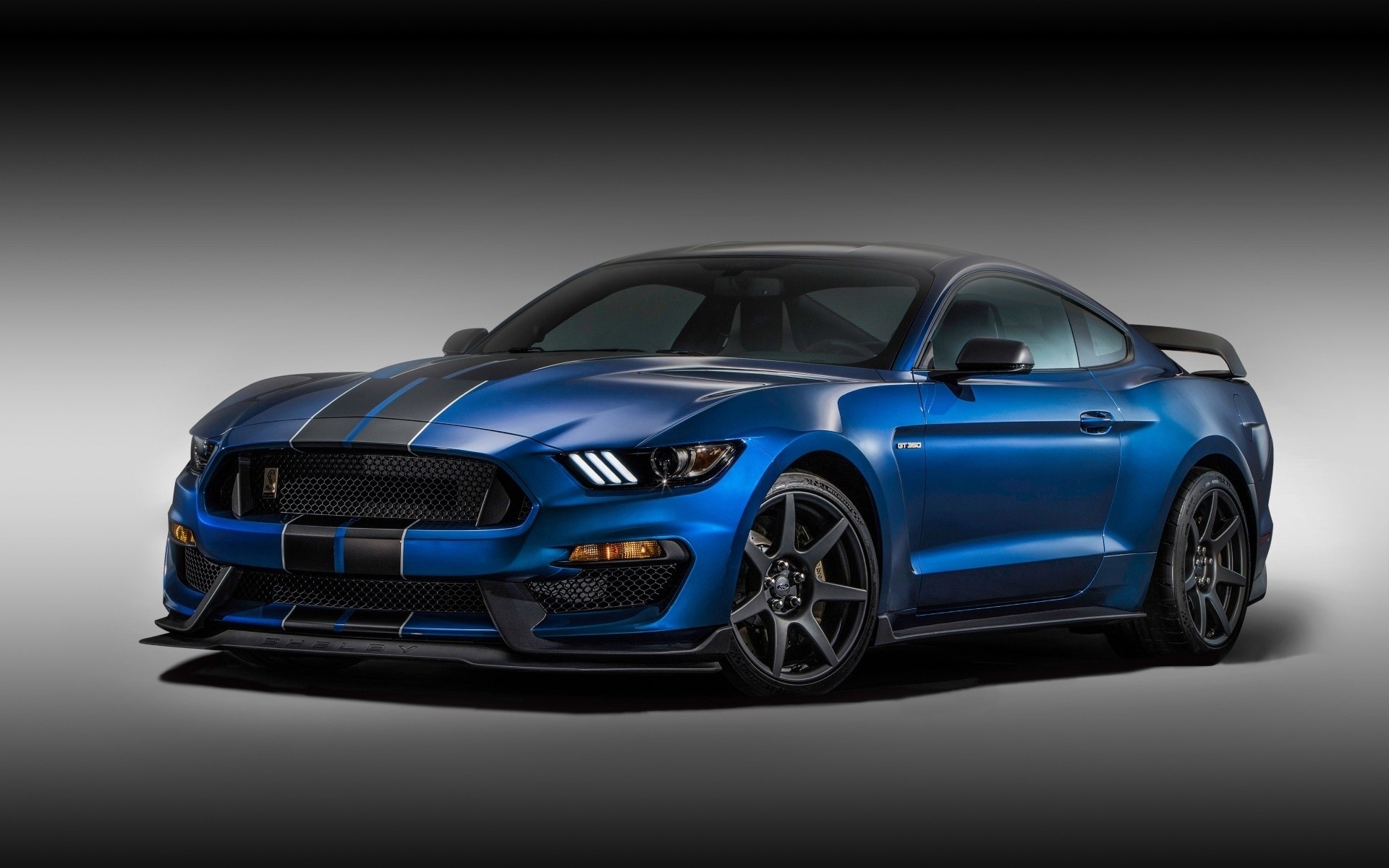 ford, shelby, mustang