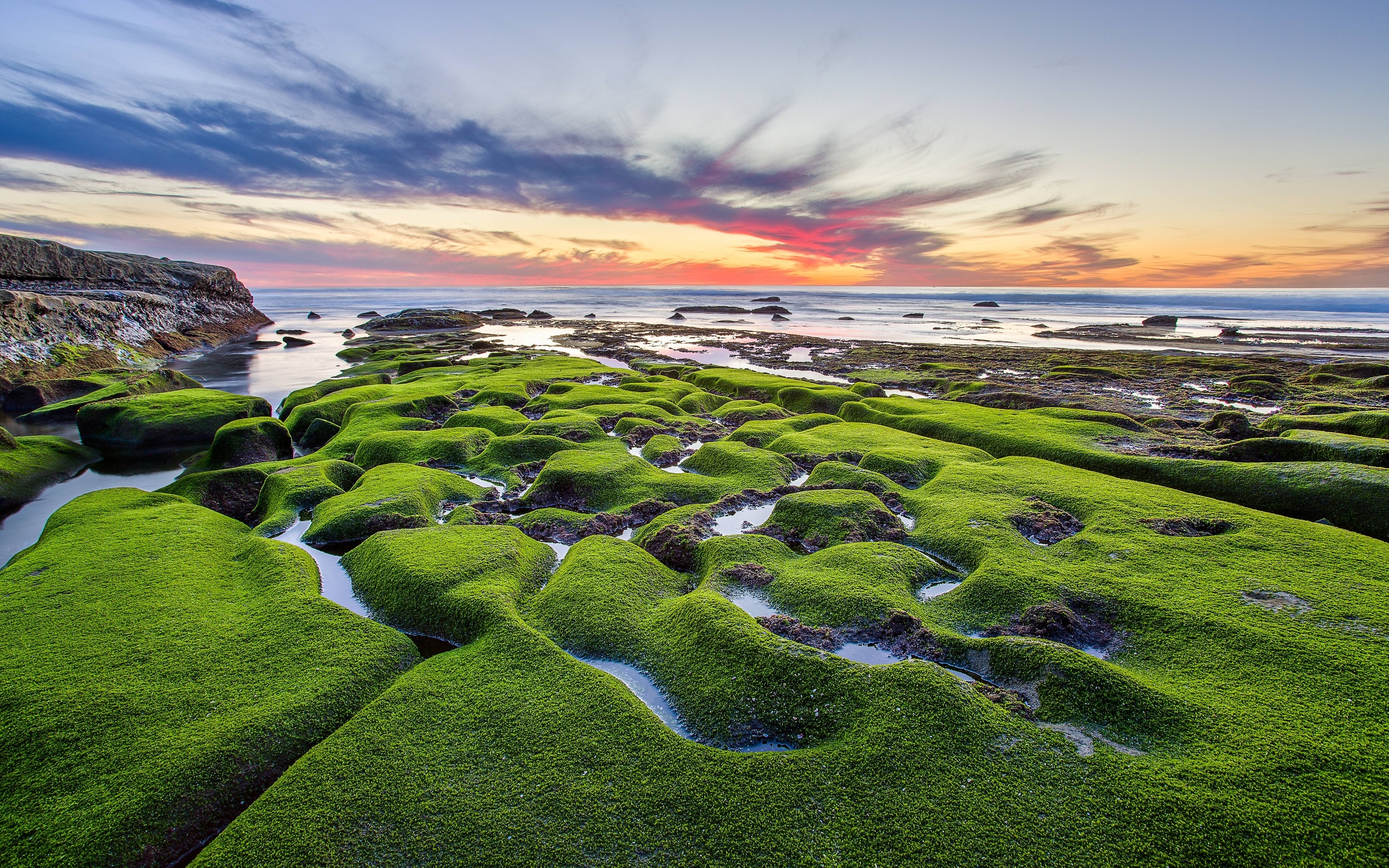 государства, объединенные