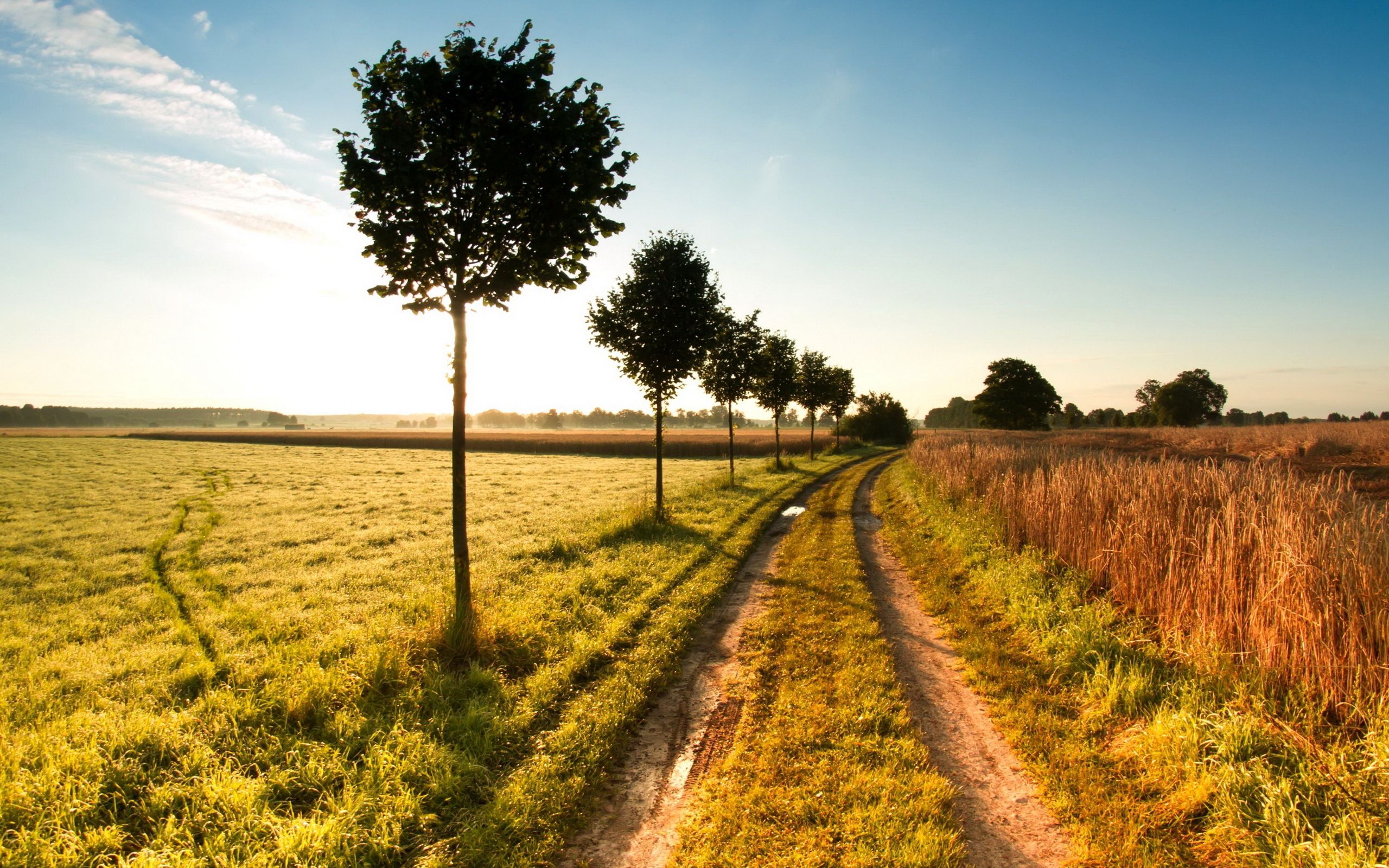 141799 год 2560x1600