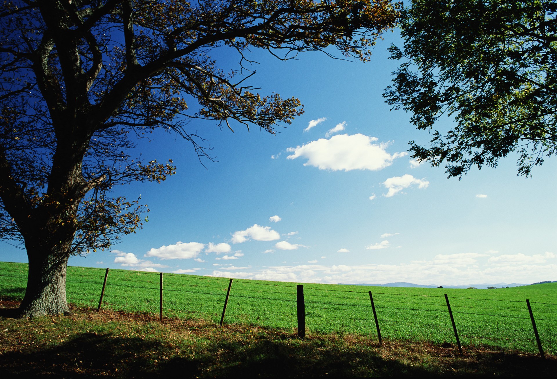 Природа 274378