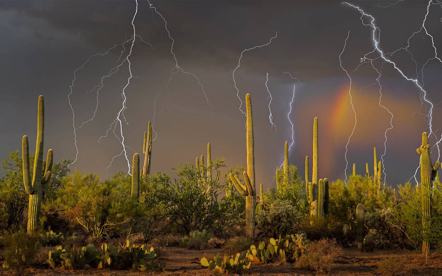 monsoon, pic