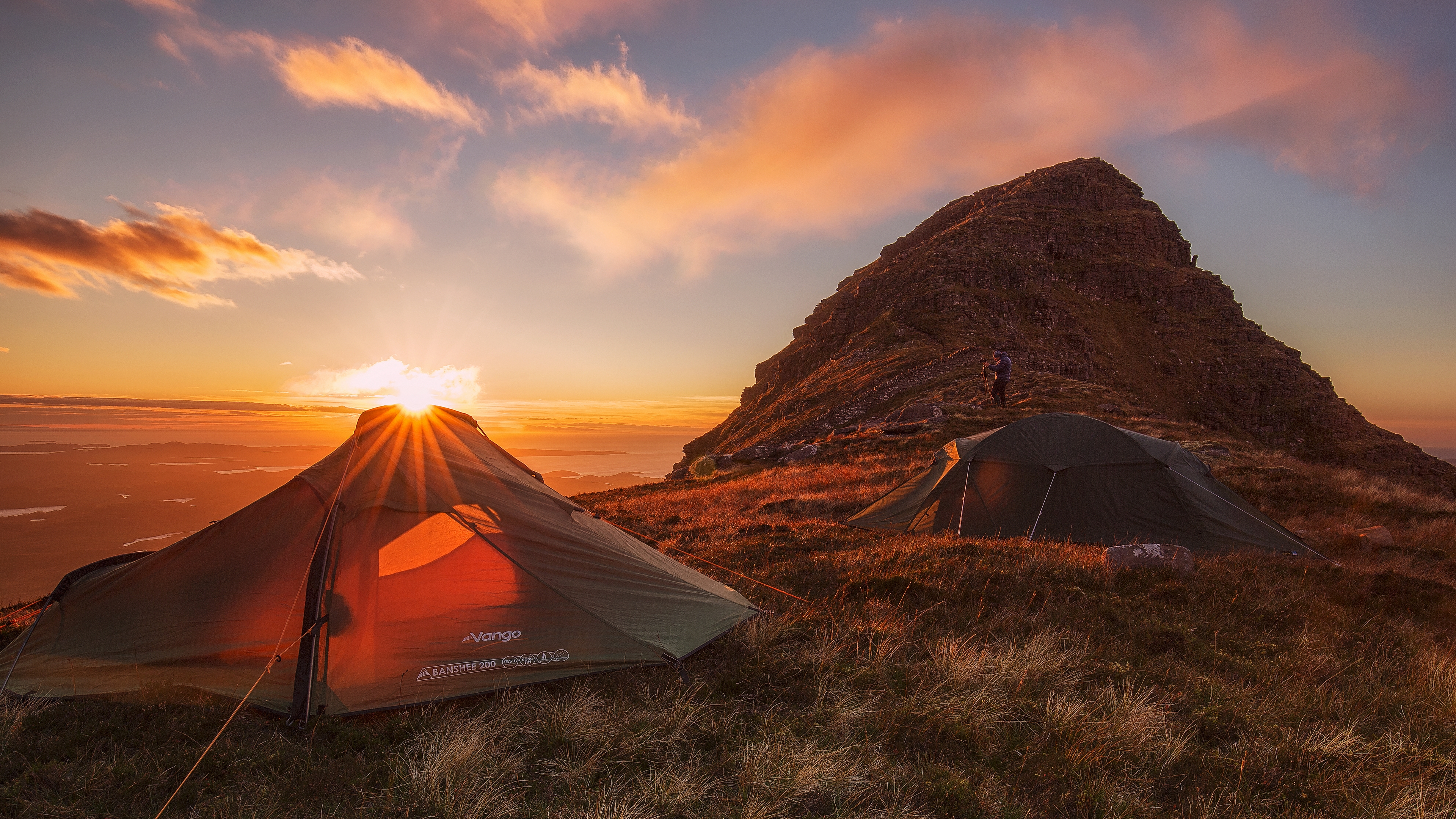 сухожилия, настольные, flickr