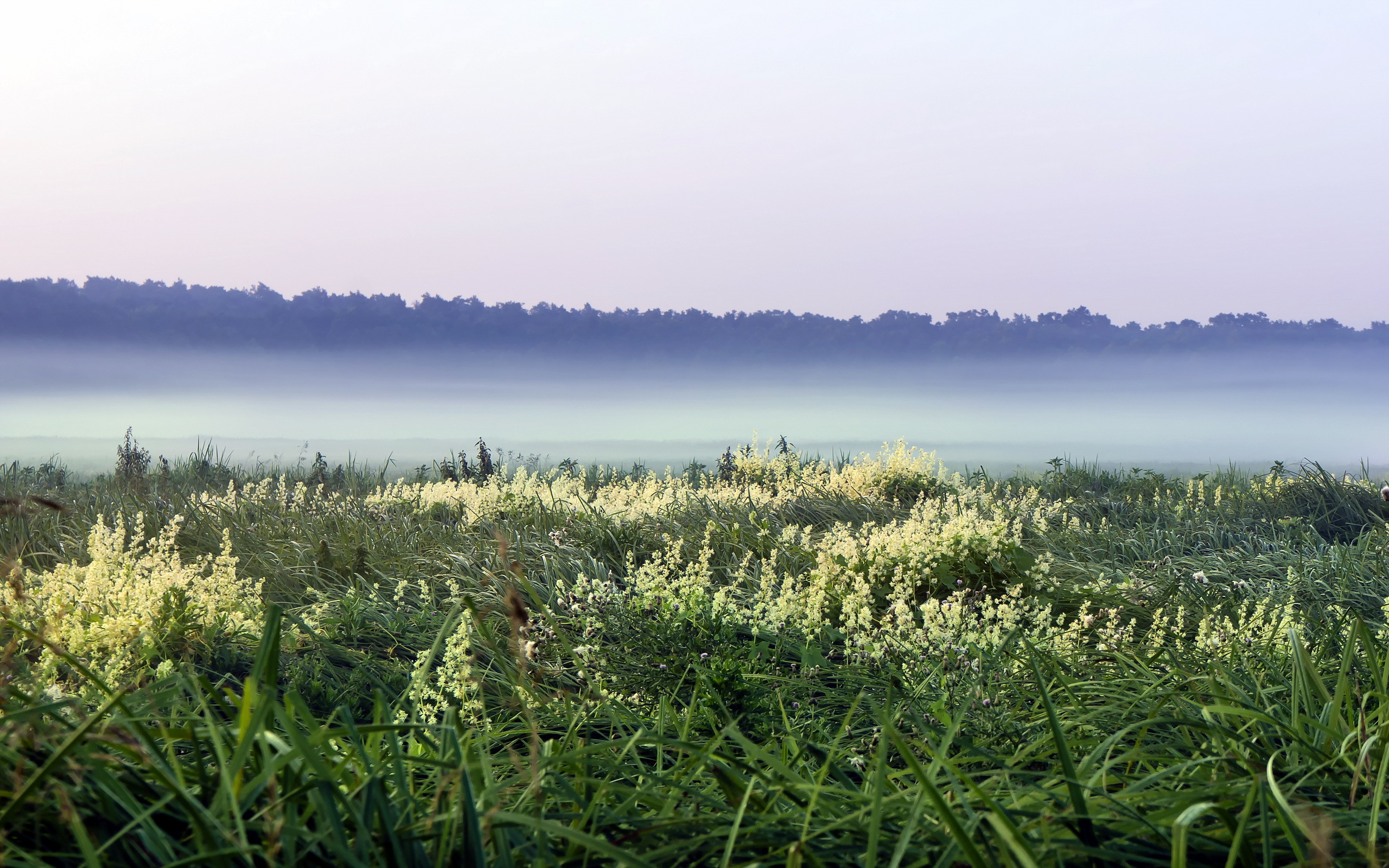 Природа 38570