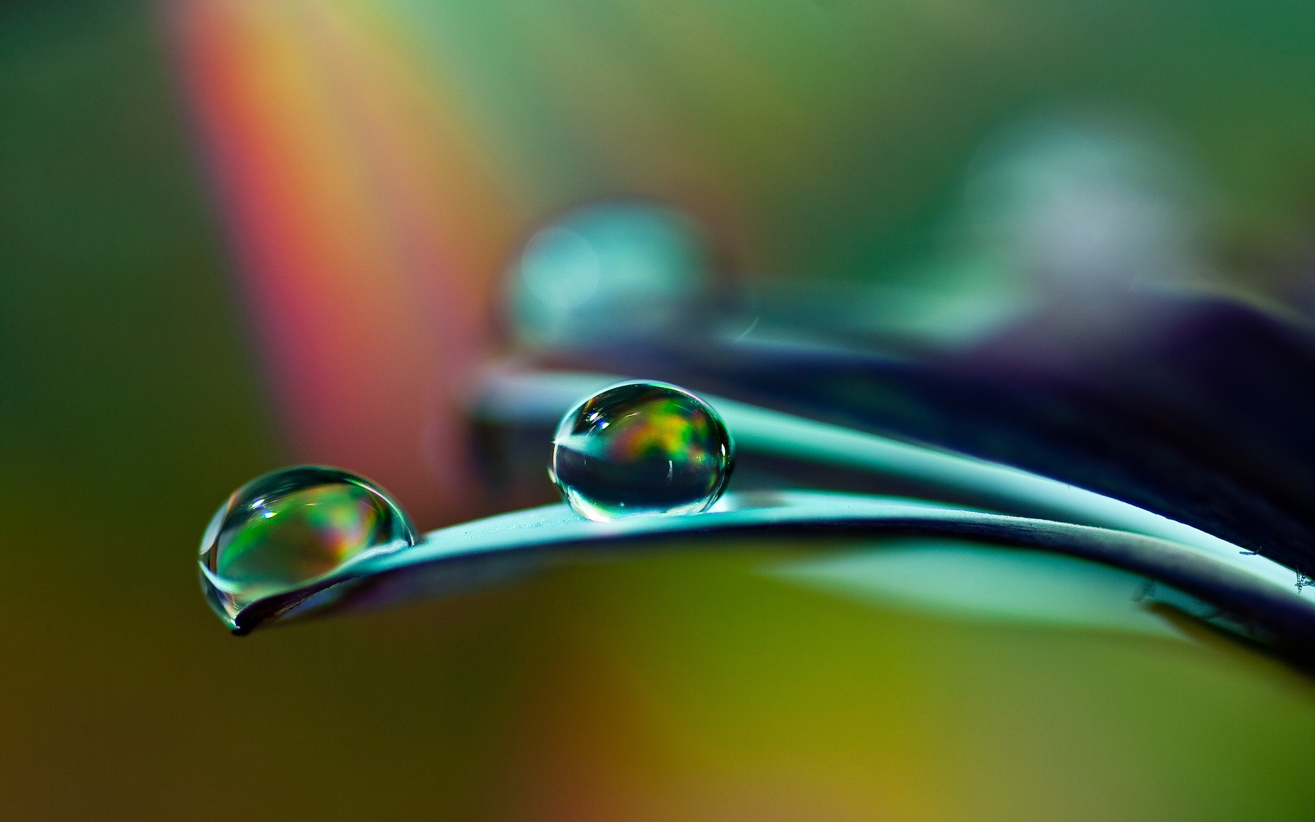 water, drop, makryi