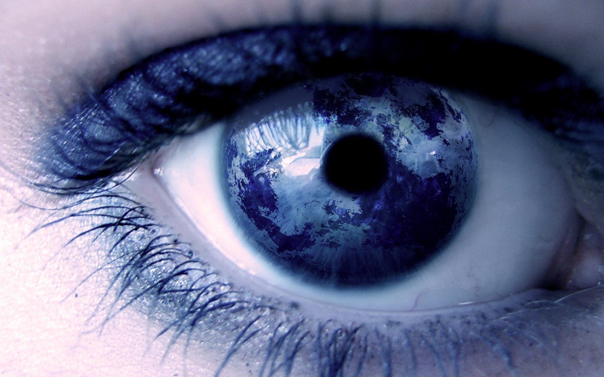 коллекция, сайте, част