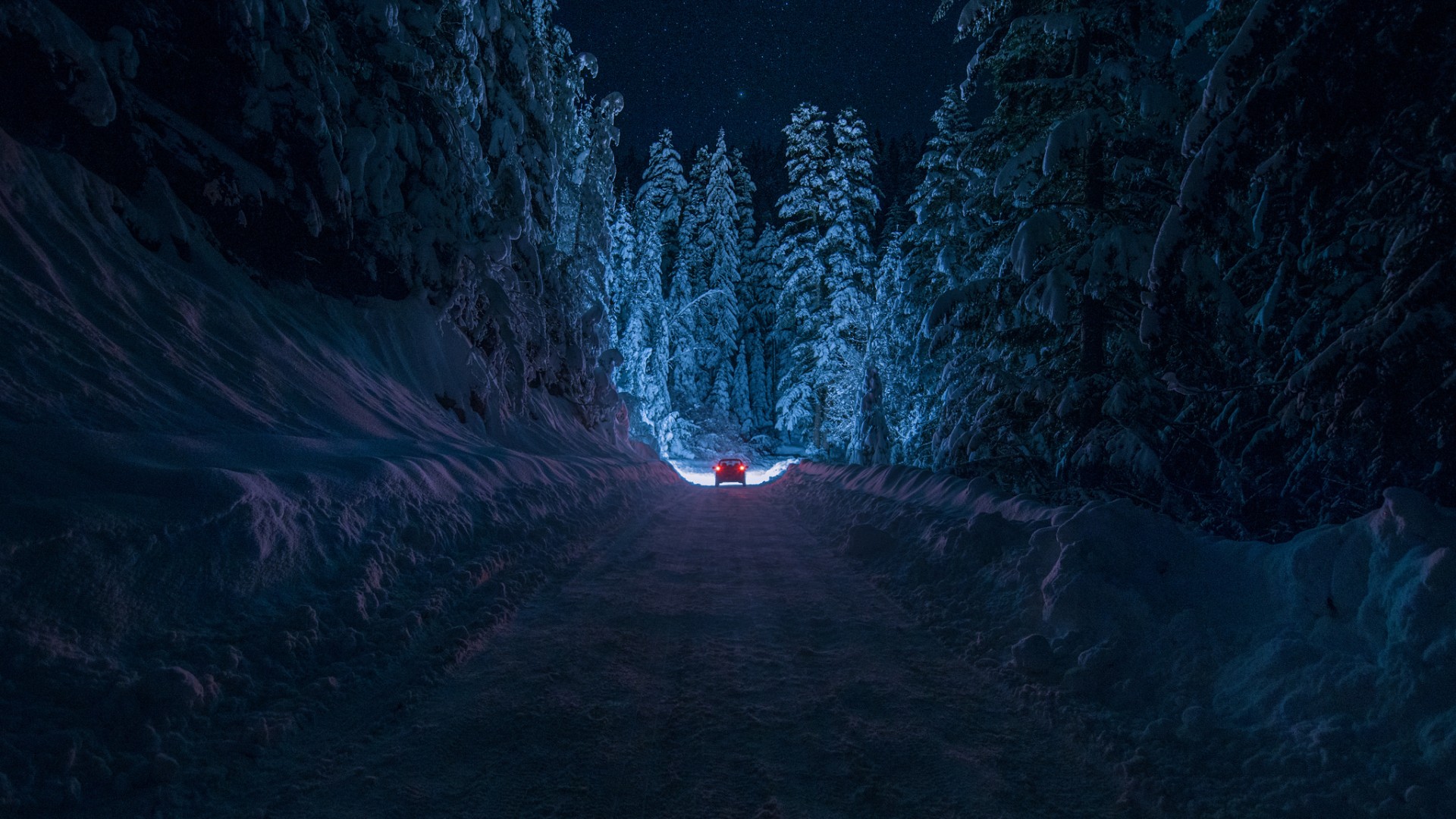 дорога, ночь