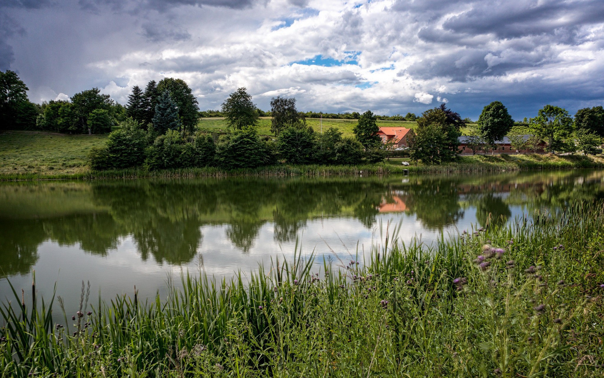 Пейзаж берег реки. Дания природа деревня. Лето река деревня. Деревня летом. Природа в деревне озеро.