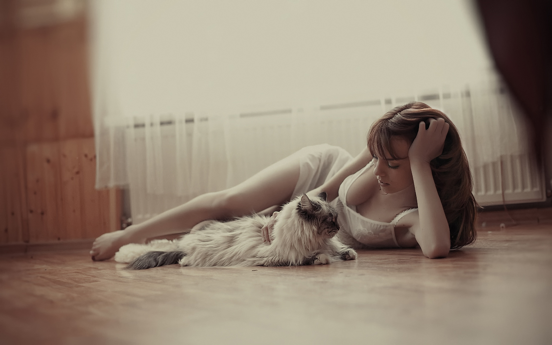 кот, девушка, девушки