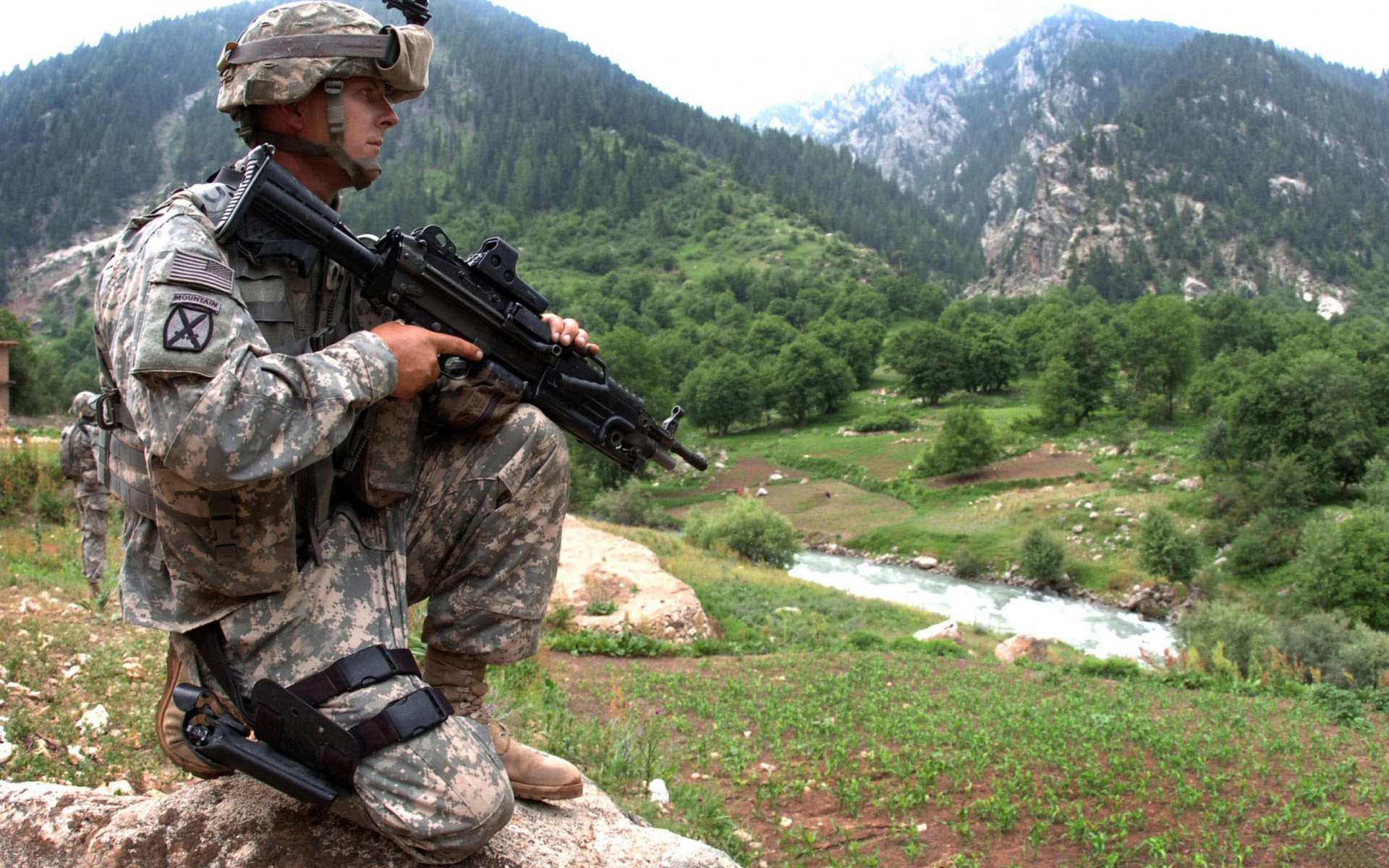 живые, авито, мод