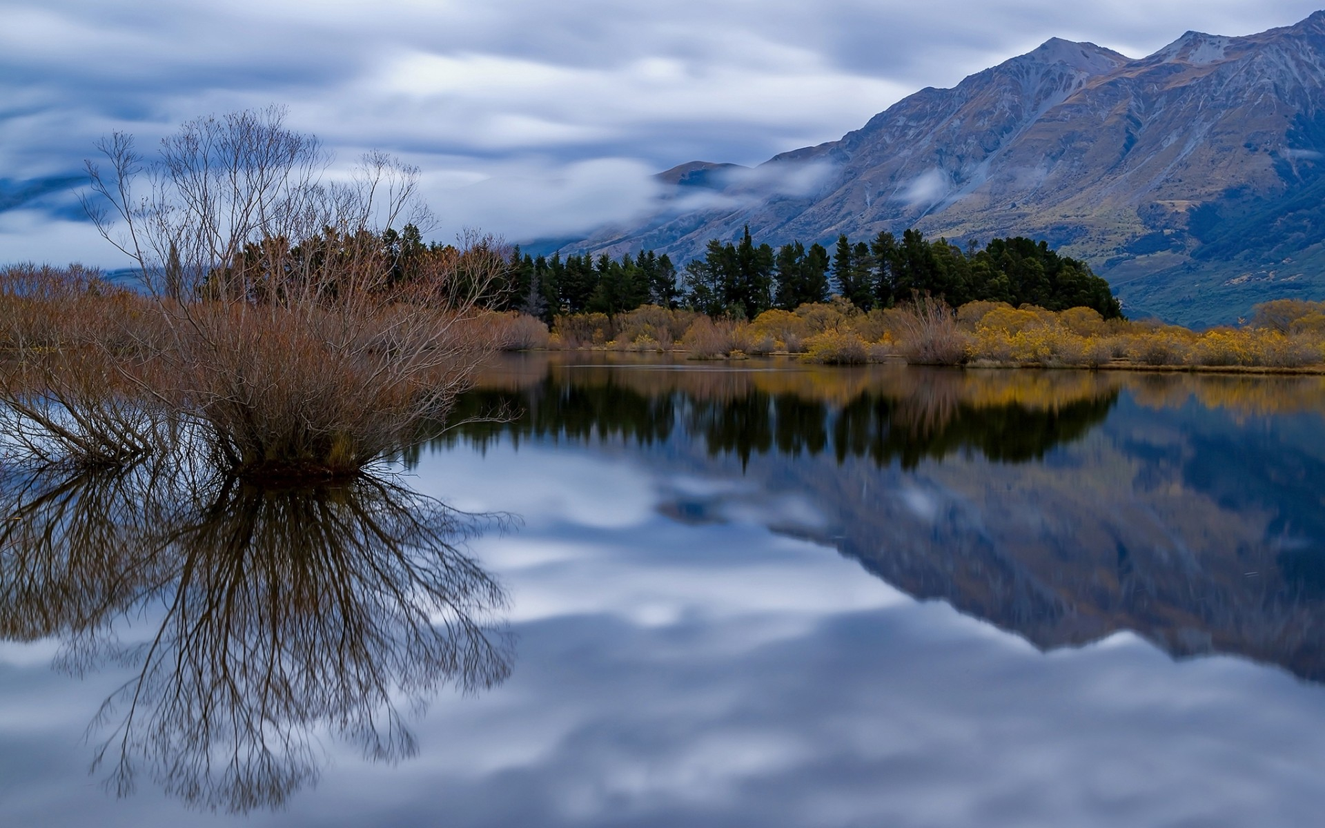 лента, понадушка