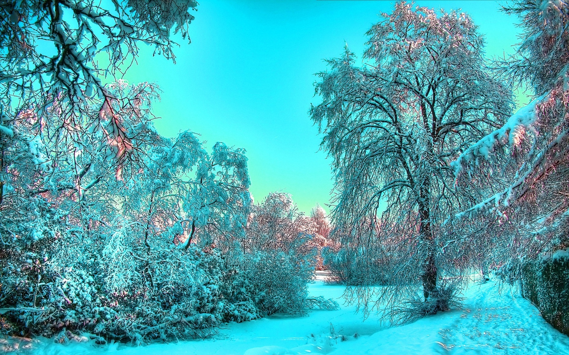 иней деревья лучи frost trees rays загрузить