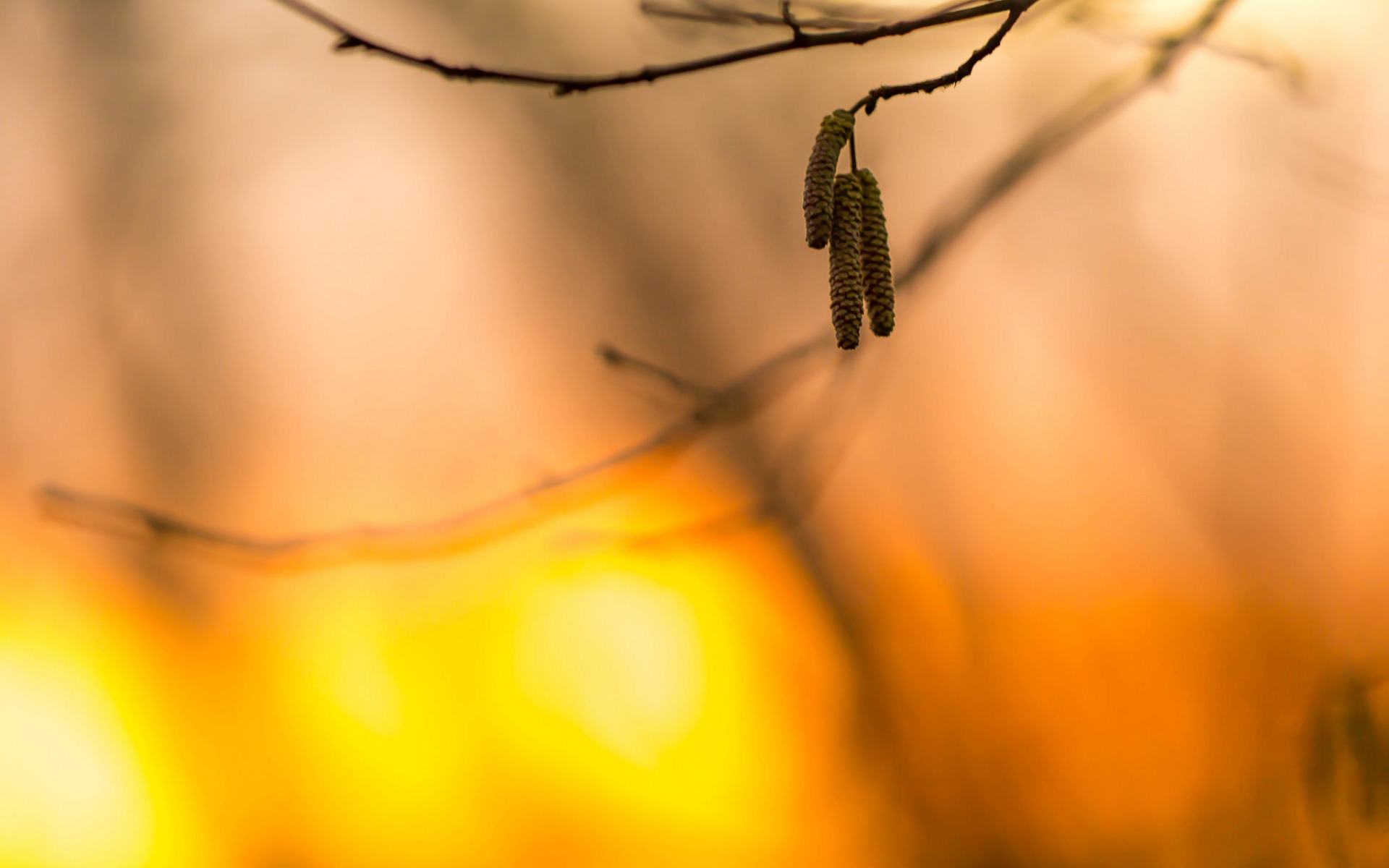 bereza, сервис