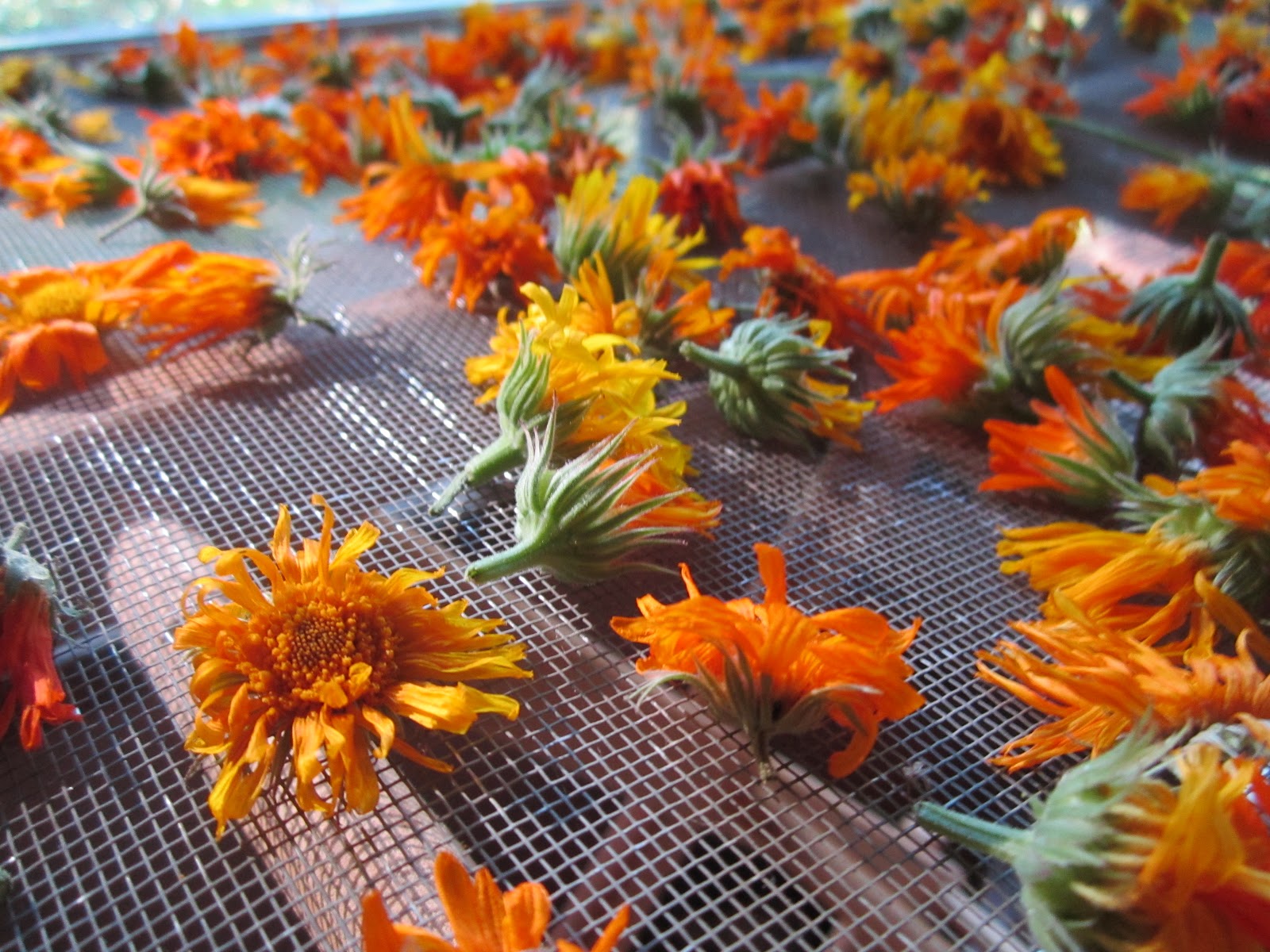 на столе много цветов с красным предметом