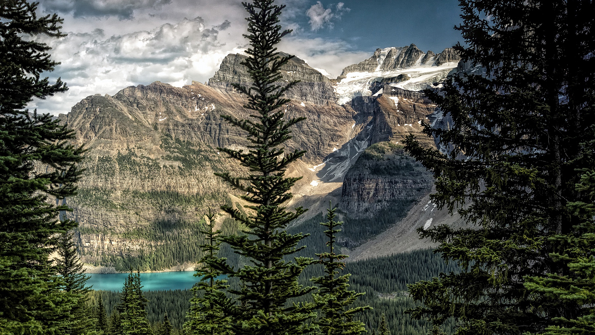 альтер, вода