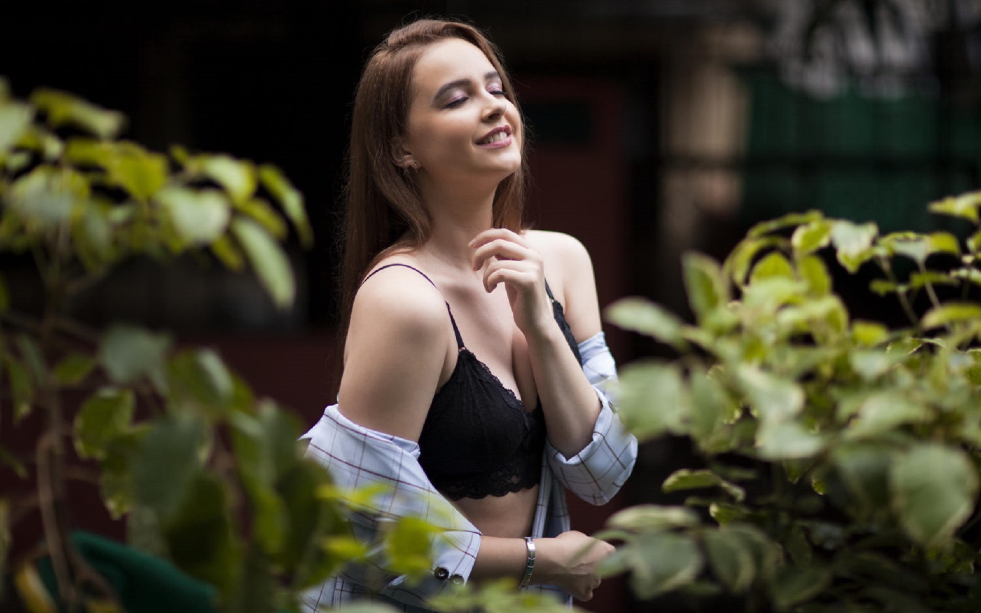 мода