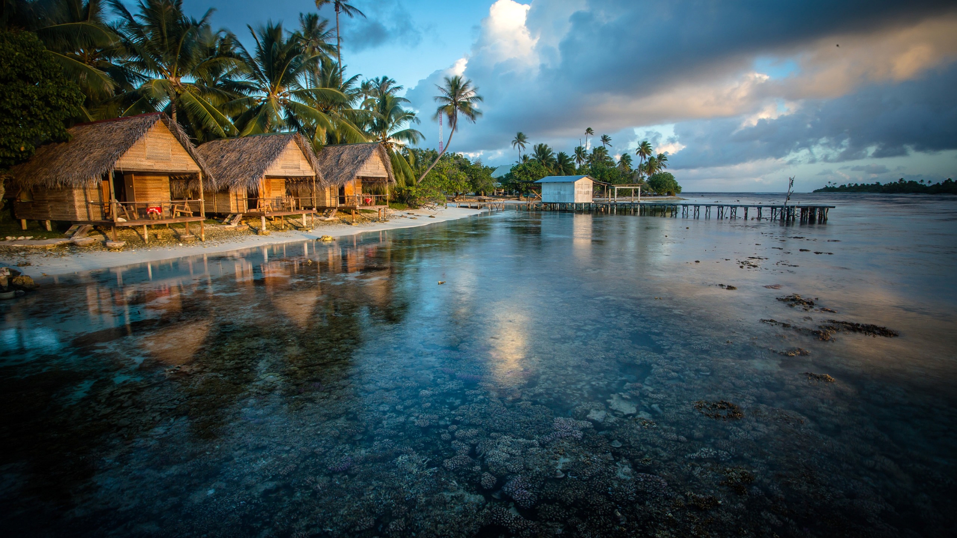 дом, дом, голод