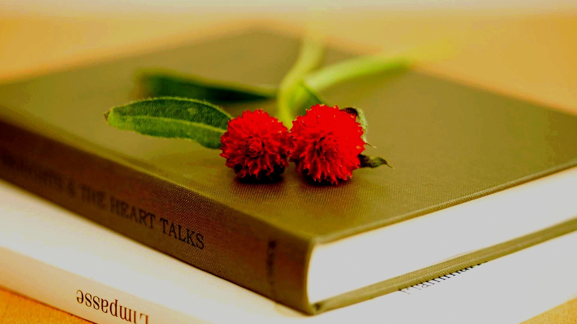 книга, цветы