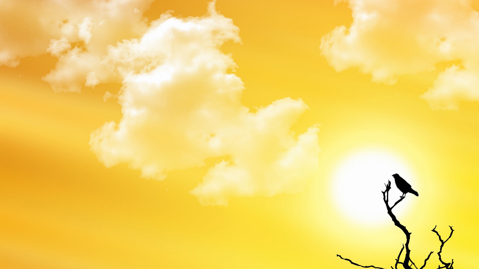 есть птица, сидящая на ветке на закате