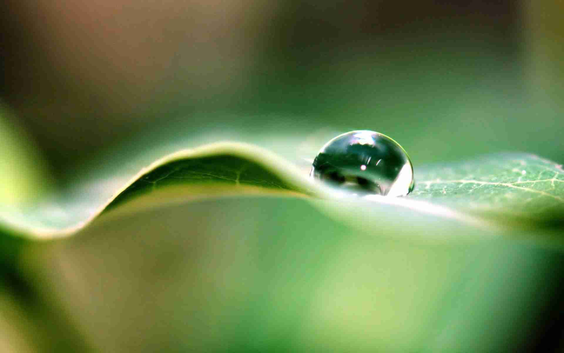 water, drop, drops Фон № 42290 разрешение 1920x1200