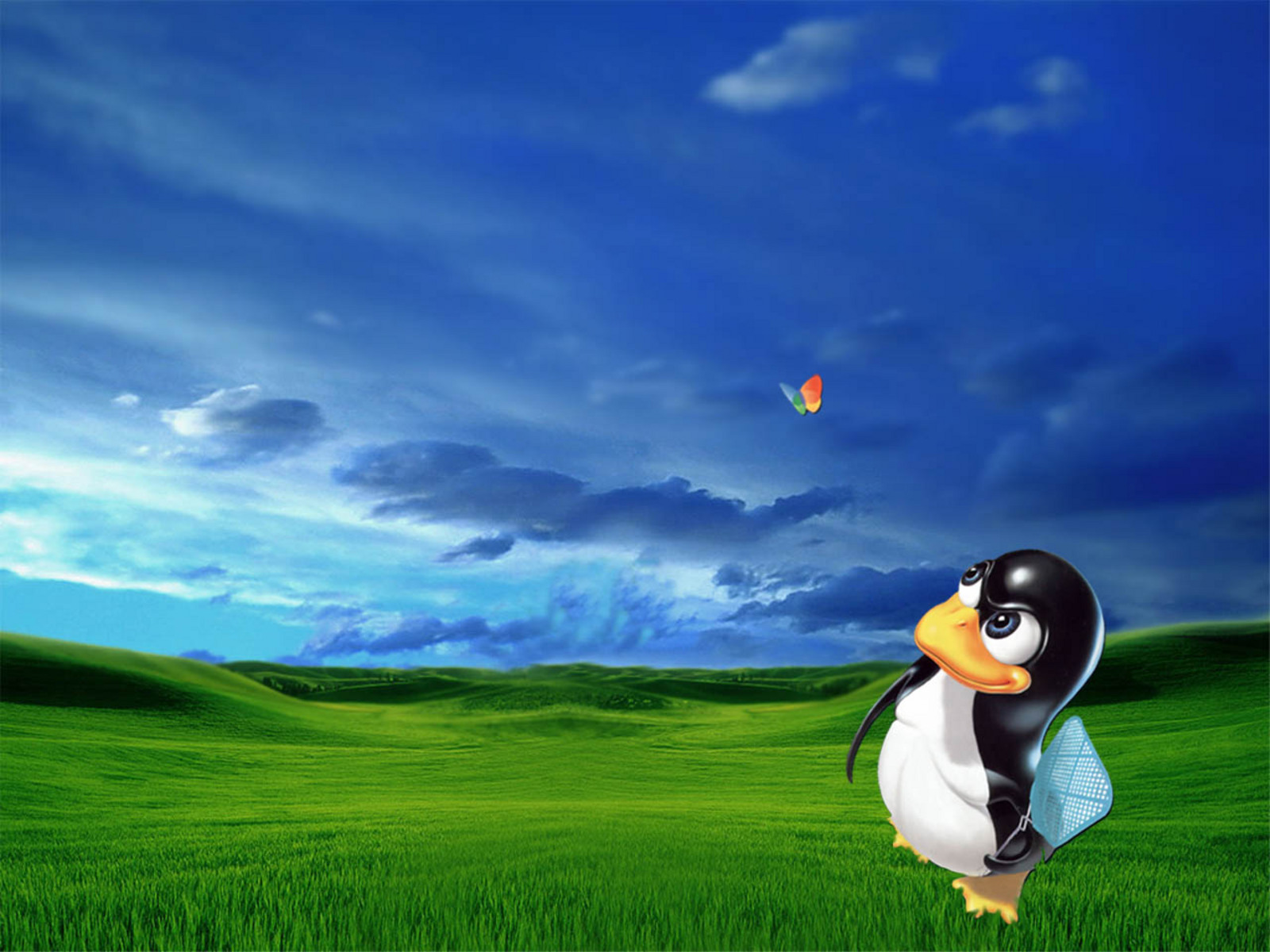linux, id, proxy