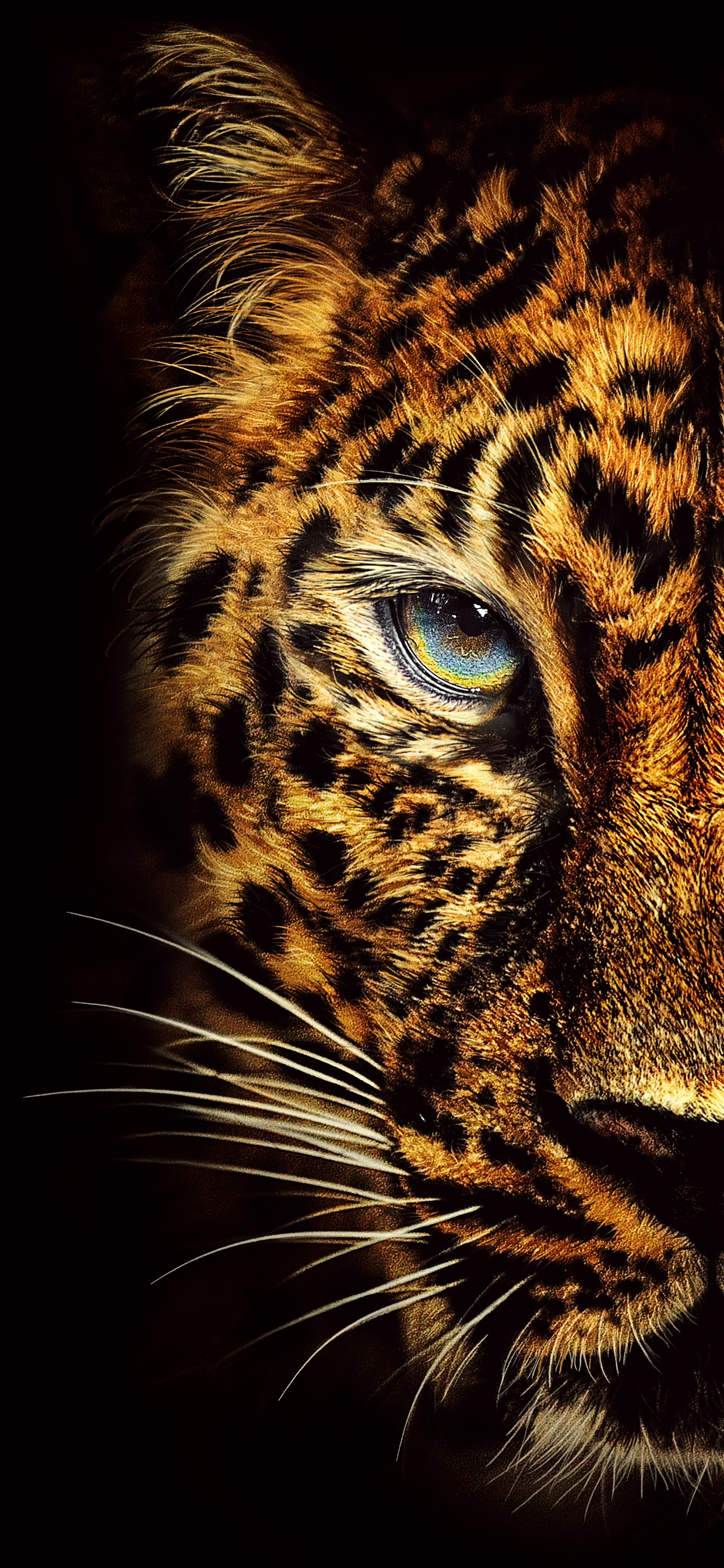 jaguar, телефон, животное