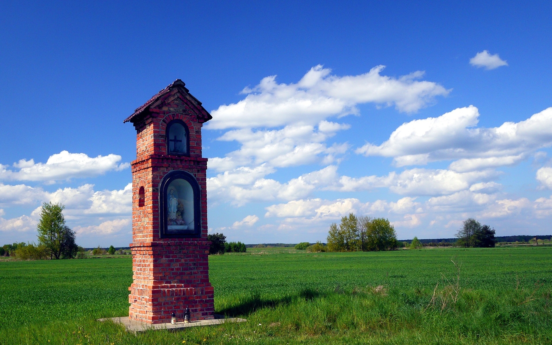 фото, пульс