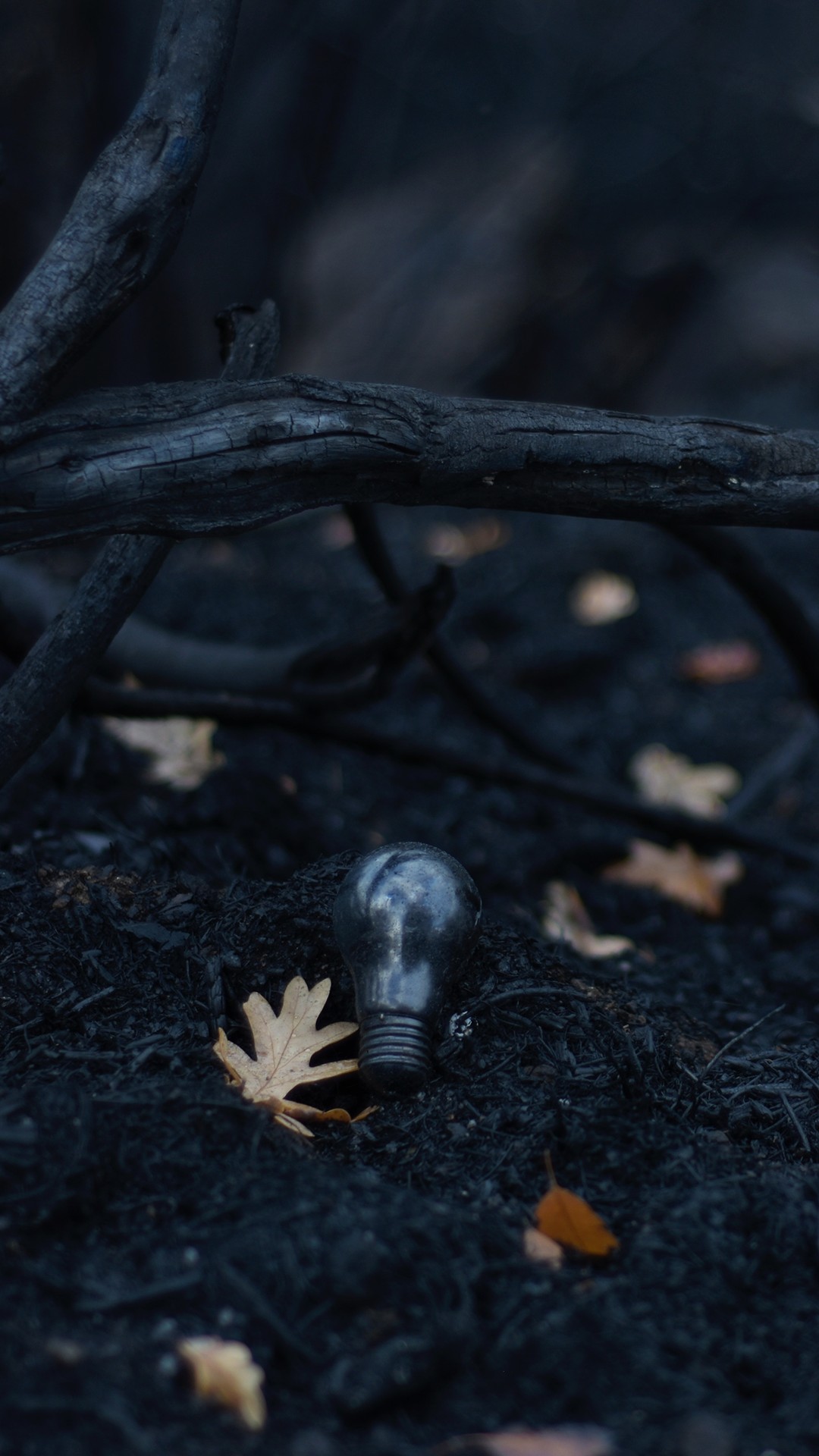 дерево, plants, online