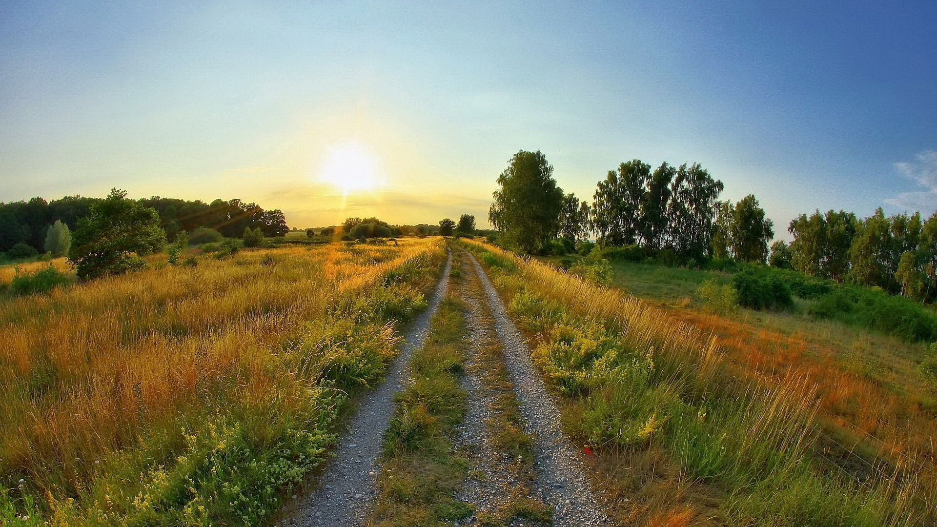 весна, дорага, лето