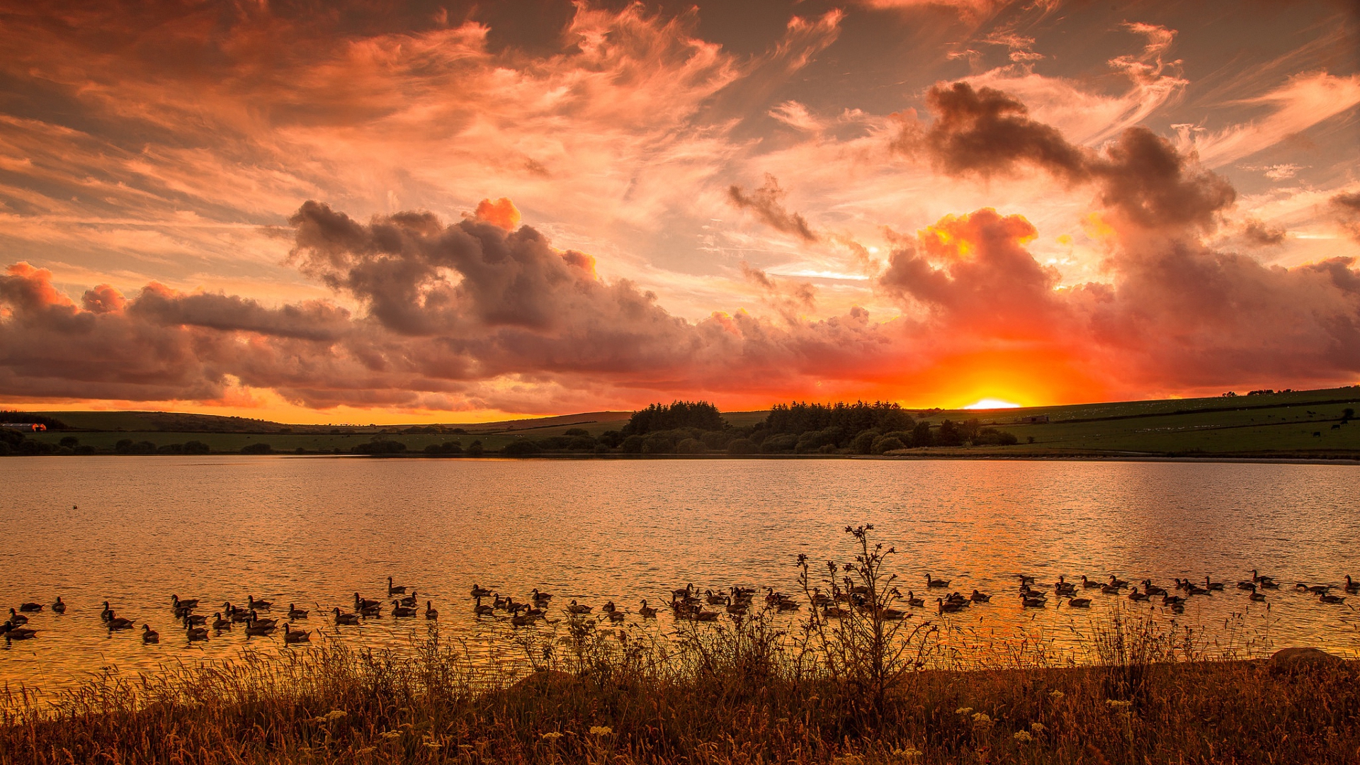 пиксель, точка